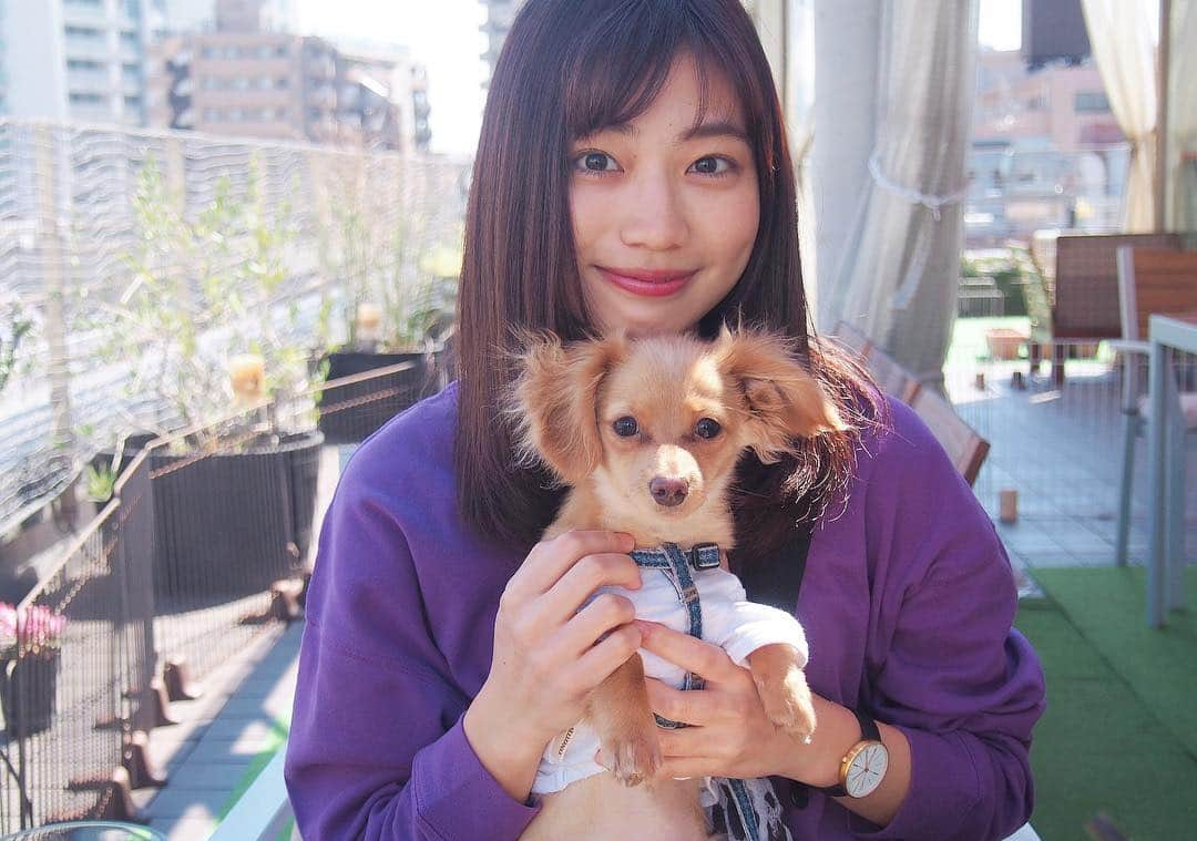 村上奈菜さんのインスタグラム写真 - (村上奈菜Instagram)「お散歩日和🐕🔅 最近おnewの自転車買って 乗るのが楽しい単純な私です🚲❤︎ 今日は友達を迎えに自転車で行ったら笑われたよ🤫 ちゃんと漕げるからね！！！笑」4月7日 20時32分 - murakami__nana