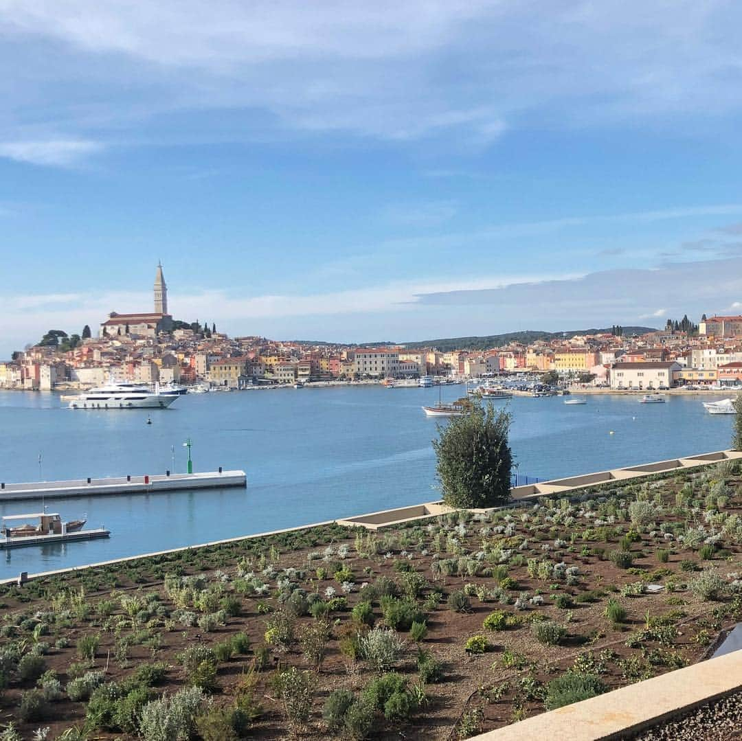 サミュエル・L・ジャクソンさんのインスタグラム写真 - (サミュエル・L・ジャクソンInstagram)「This new location looks promising! Croatia is lovely at first glance!#hitmanswifesbodyguard#rovinj」4月7日 19時08分 - samuelljackson