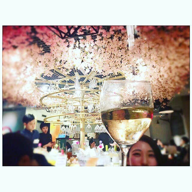 七瀬遥さんのインスタグラム写真 - (七瀬遥Instagram)「お花見バル✨🌸🌸🌸✨ #お花見#バル#ワイン#wine#friend#fun#good#happy#smile#tokyo#japan」4月7日 19時00分 - haruka_mh