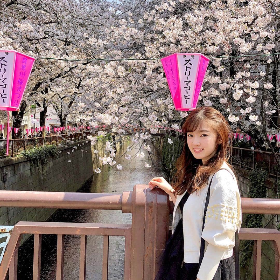 神谷由香さんのインスタグラム写真 - (神谷由香Instagram)「🌸🌸🌸 . .  花より団子🍡だけど、 大人になってから昔より ずっと桜を楽しめるように（今更）  今年の桜は長く楽しめたけど、 咲くまでは待ち遠しくて、 咲いてからあっと言う間に散っちゃう、、😢 儚い、、😢 . 私は散り時、暖かい風がふぁーって吹いた時の 桜吹雪が大好き🌸  初めてストリーマコーヒー飲んでたらストリーマコーヒーの🏮の下でとってた😂📸(笑) .  #桜 #中目黒 #ストリーマコーヒー #streamercoffee #cherryblossom #目黒川」4月7日 19時02分 - kamiya_yuka_