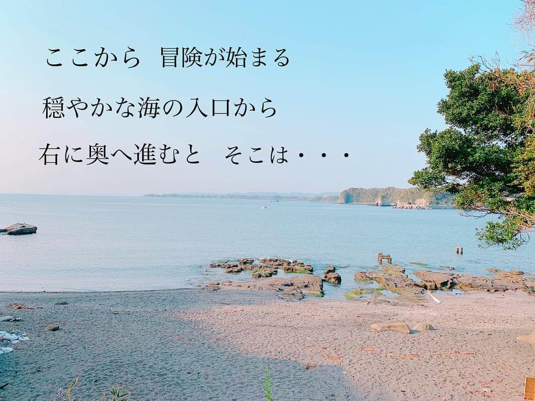 のインスタグラム：「今日は 今年もまたお世話になる海に ご挨拶へ伺いました。 横堀海岸。 本当にここの海はいつでも こんな感じで穏やかで 静かな海岸。 自然の声があちこちから聞こえてくる。 今日は朝から感謝の連続 ずーーっと続く事に。。。 今日の最後の最後まで思いもしなかった展開が良い風と共にながれてきてくれた、、 今日のこの日、忘れられない。 忘れたくない日。 ありがとうございます。  #横堀海岸 #三浦半島  #三崎口  #油壺  #海 #海岸 #みなとや  #sea #sup #supyoga #supcruising #trip #」