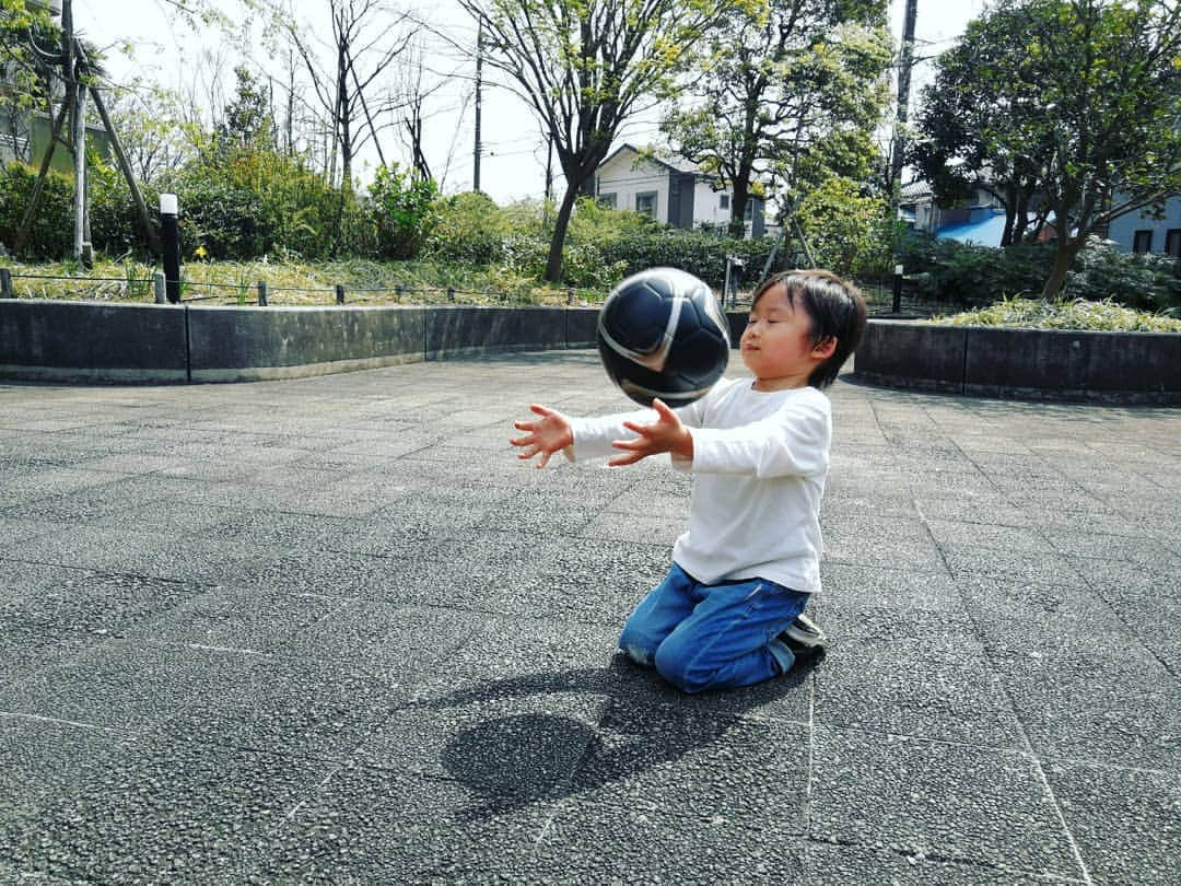 清野紗耶香さんのインスタグラム写真 - (清野紗耶香Instagram)「⚽#サッカーボール で#キャッチボール withお父さん👨  スワイプしてみてね⏩ 最後の顔😂😂😂😂 #4歳 #まめちょびん #ハロー赤ちゃん探検隊19年4月 #ベビーブック#ベビブにのろう #mamanoko#ママライフカメラ #comona #ikumama#hugkum #ままのて#子育てぐらむ#キッズモデル部 #ママタス#コドモノ #キズナ #親バカ部#instakids #ig_kidsphoto #kidsgram_tokyo #kids_japan #love_kodomo_japan #子供とお出かけ部#コズレ#hugmug」4月7日 19時11分 - seino_sayaka