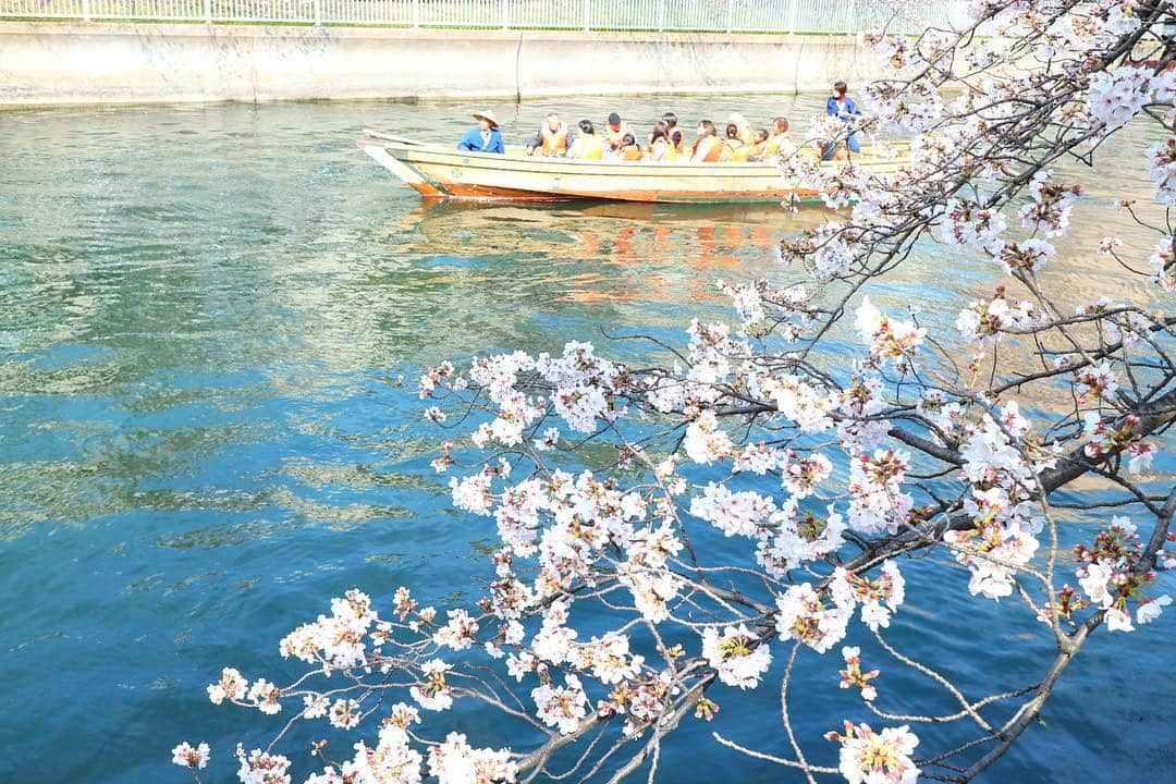 花田浩菜さんのインスタグラム写真 - (花田浩菜Instagram)「今年の#お花見 、長く楽しめて大満足😊🌸 日本の四季があるところが大好きだ…✨ カメラロールがピンクで埋まってなんだか幸せ😊 . . . #お花見 #家族でお出かけ #週末 #屋形船 #桜 #写真好きな人と繋がりたい #日本再発見 #下町 #tokyo #cherryblossom #l4l #happy #happydays」4月7日 19時17分 - hanadahirona