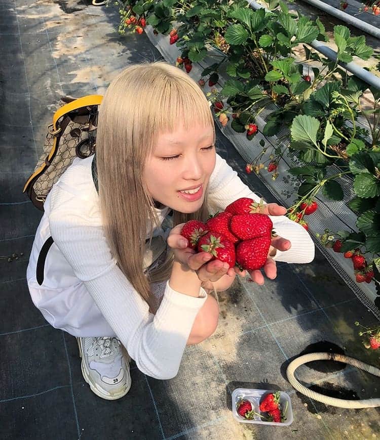 フェルナンダ・リーのインスタグラム：「🍓we🍓went🍓strawberry🍓picking🍓 Aside from regular ones, they had 'black' and 'white' strawberries. Have you ever tried them? I had no idea that black strawberries existed before today. The aroma is completely different, somewhat floral. 🤔 〰️〰️〰️〰️〰️ ❣イチゴ狩りに行きました❣ そこに黒いと白いのイチゴがありました。食べことありますか？🍓 今まで、初めて黒いイチゴを見ていました。香りは普通よりにぜんぜん違います、何とかお花っぽいでした。🤗」