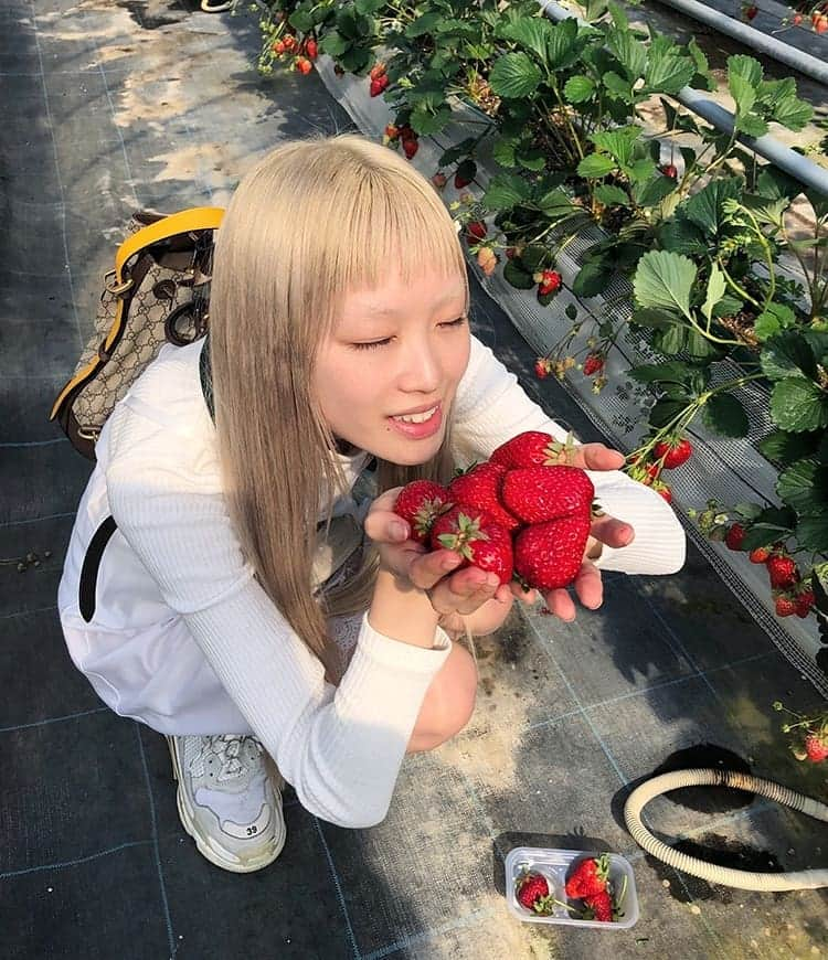 フェルナンダ・リーさんのインスタグラム写真 - (フェルナンダ・リーInstagram)「🍓we🍓went🍓strawberry🍓picking🍓 Aside from regular ones, they had 'black' and 'white' strawberries. Have you ever tried them? I had no idea that black strawberries existed before today. The aroma is completely different, somewhat floral. 🤔 〰️〰️〰️〰️〰️ ❣イチゴ狩りに行きました❣ そこに黒いと白いのイチゴがありました。食べことありますか？🍓 今まで、初めて黒いイチゴを見ていました。香りは普通よりにぜんぜん違います、何とかお花っぽいでした。🤗」4月7日 19時13分 - warukatta