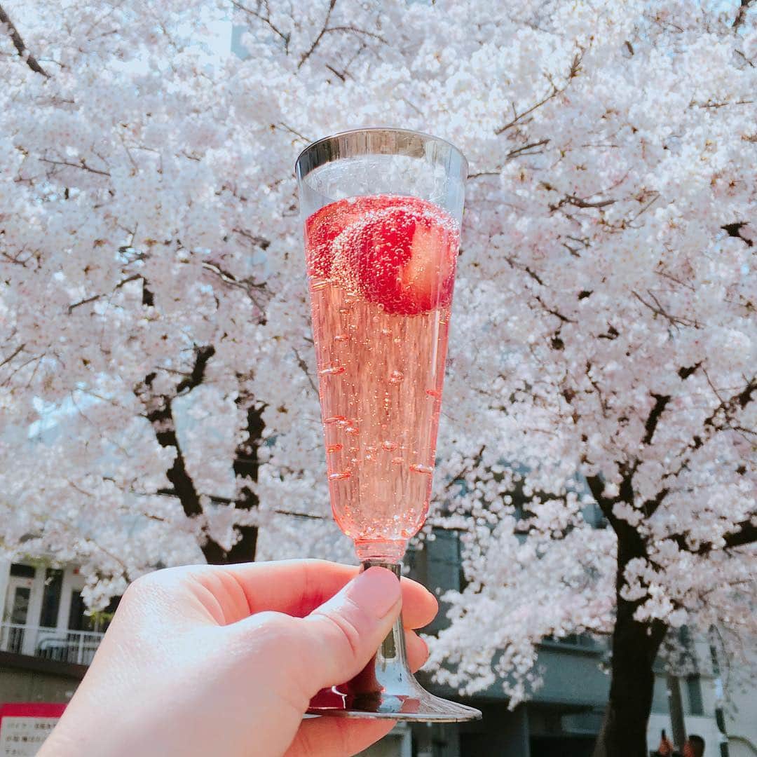 内田絢子さんのインスタグラム写真 - (内田絢子Instagram)「桜＋いちご＋ロゼ♡ 春の好きなもの全部。  今年の桜、本当に綺麗。 この季節がずっと続いたらいいのになぁ。  #お花見 #桜ロゼ #大阪の桜 #桜コレクション」4月7日 19時18分 - uccijun