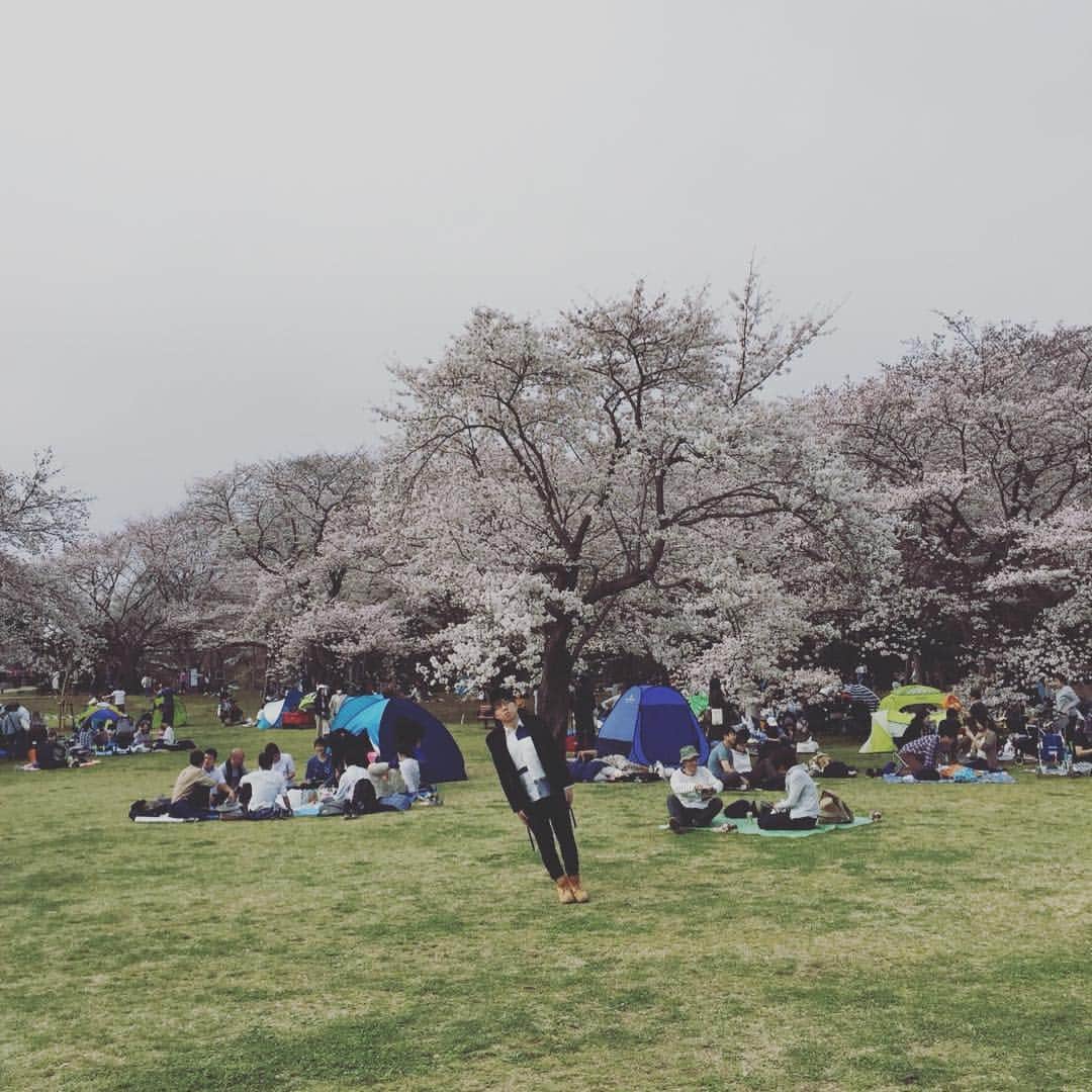 戸川創太さんのインスタグラム写真 - (戸川創太Instagram)「#お花見」4月7日 19時24分 - togawatogawatogawa