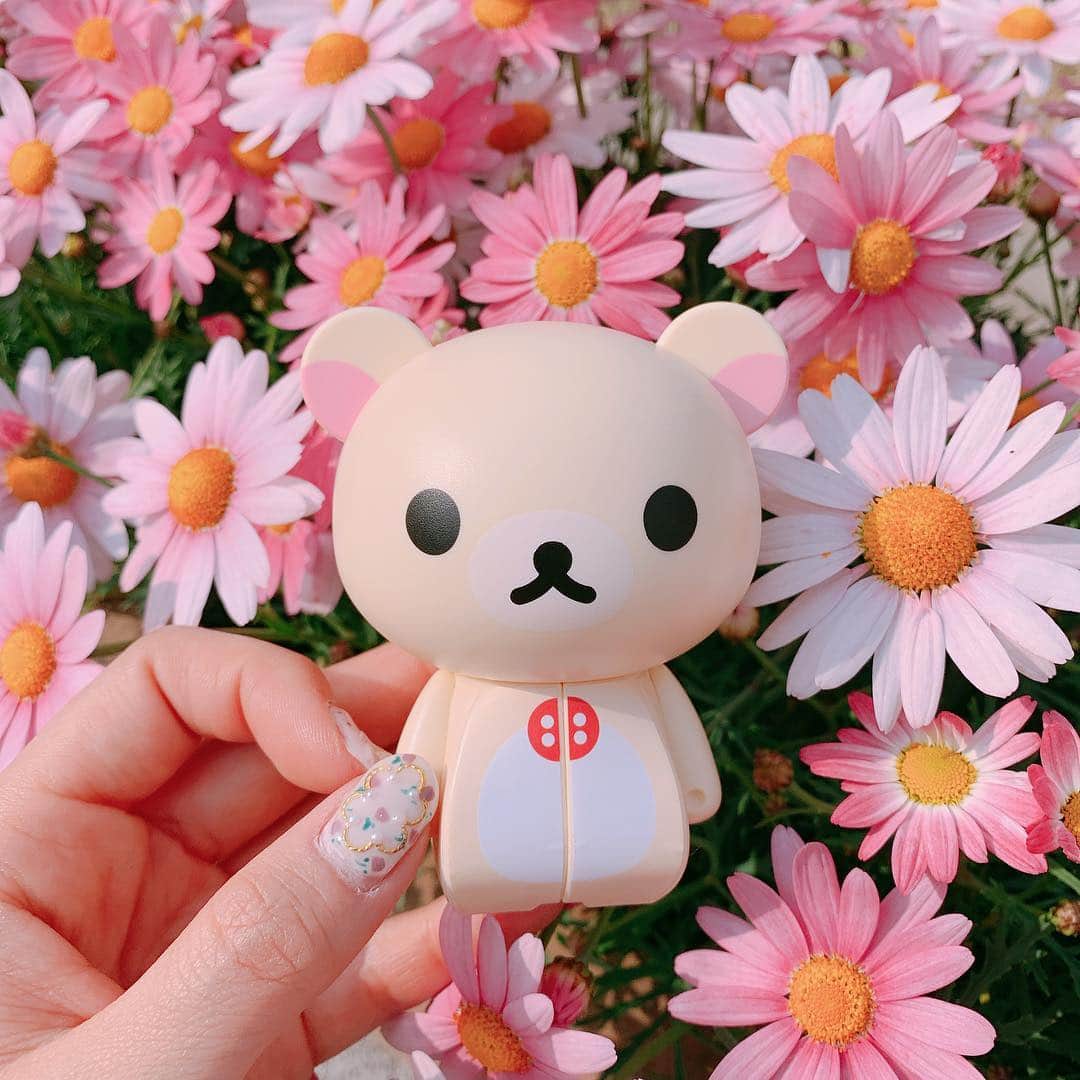 のインスタグラム：「🧸🌷💭﻿ ﻿ ﻿ これなんだと思う？🧸🌼﻿ ルービックキューブ×キャラクターの﻿ #キャラクションキューブ 🐻✨﻿ ﻿ フィギュアみたいなのにパズルとしても遊べるし﻿ キャラクションキューブを回してメッセージボックス﻿ としてもつかえるの🌸﻿ ﻿ お母さんがコリラックマ大好きだから﻿ ちょっと恥ずかしいけど﻿ 中にメッセージ書いてプレゼントしたら﻿ 喜んでくれてさっそくお部屋に飾ってた😂💭💕笑﻿ ﻿ ﻿ 他にも色々なキャラクターのキャラクションキューブがあるから相手が好きなキャラをプレゼント🎁するのも良いよね☺️💕﻿ ﻿ ﻿ #キャラクションキューブ #キャラクションメッセージキューブ #メッセージキューブ #ルービックキューブ#リラックマ #コリラックマ #プレゼント #マーガレット #サプライズ#pr #korirakkuma #kawaii #cute #present #flower」