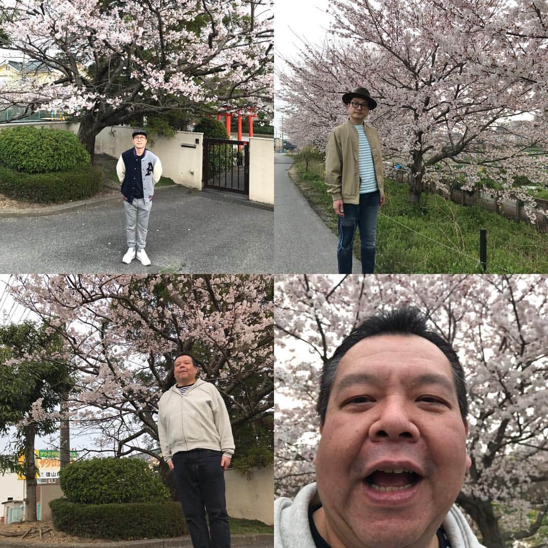 すっちーのインスタグラム：「桜🌸」