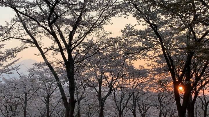 phantastic420のインスタグラム：「. 🤩🤩“Shizuoka” prefecture in Japan is a place where you can see the most “phantastic” Mt. Fuji🗻 in the world.🤩 #富士山 #mtfuji #japan #shizuoka #fujinomiya  #phantastic420photography #mostphantasticmtfuji #selamatpagi  #goodmorning  #おはようございます 😇😇😇😇😇😇😇🗻😇😇 密かに黄砂の爆焼け期待してましたが全くでした🤣」