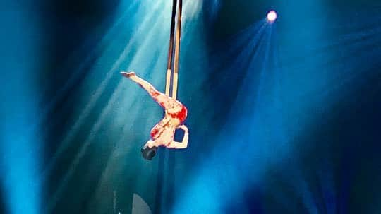 Coleen Garciaさんのインスタグラム写真 - (Coleen GarciaInstagram)「Just hangin’ 🤸🏻‍♀️ . . #thecr3wconcert  #ctto」4月7日 20時09分 - coleen