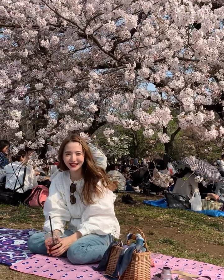 平木愛美のインスタグラム：「beautiful cherryblossom 🌸  もっふもふの桜美しい。 やっぱり実際目で見るのが一番綺麗なのですが、この美しさ伝えたくて、縦も横もしつれいします。  たくさんの人たちを包み込む、大きくてふかふかの優しい桜。  大好きさんと、平和で心地よいしあわせ日曜日！🕊💗 桜に囲まれた芝生空間が最高すぎて終始テンションあがってた。笑 気付けば顔に土がついてた。笑 心満たされて幸せ溢れる気持ちでお風呂なう🥺🛁 ちょっと写真たくさんなんだけど、いくつか載せてもいいでしょうか、、🌼 . 最後、ダンス？相変わらず動き変。笑🤮💘🦋💞💫#踊りたくない芸人 #平成最後の桜 #桜 #砧公園 #おしゃピク  #love #cherryblossom #picnic」