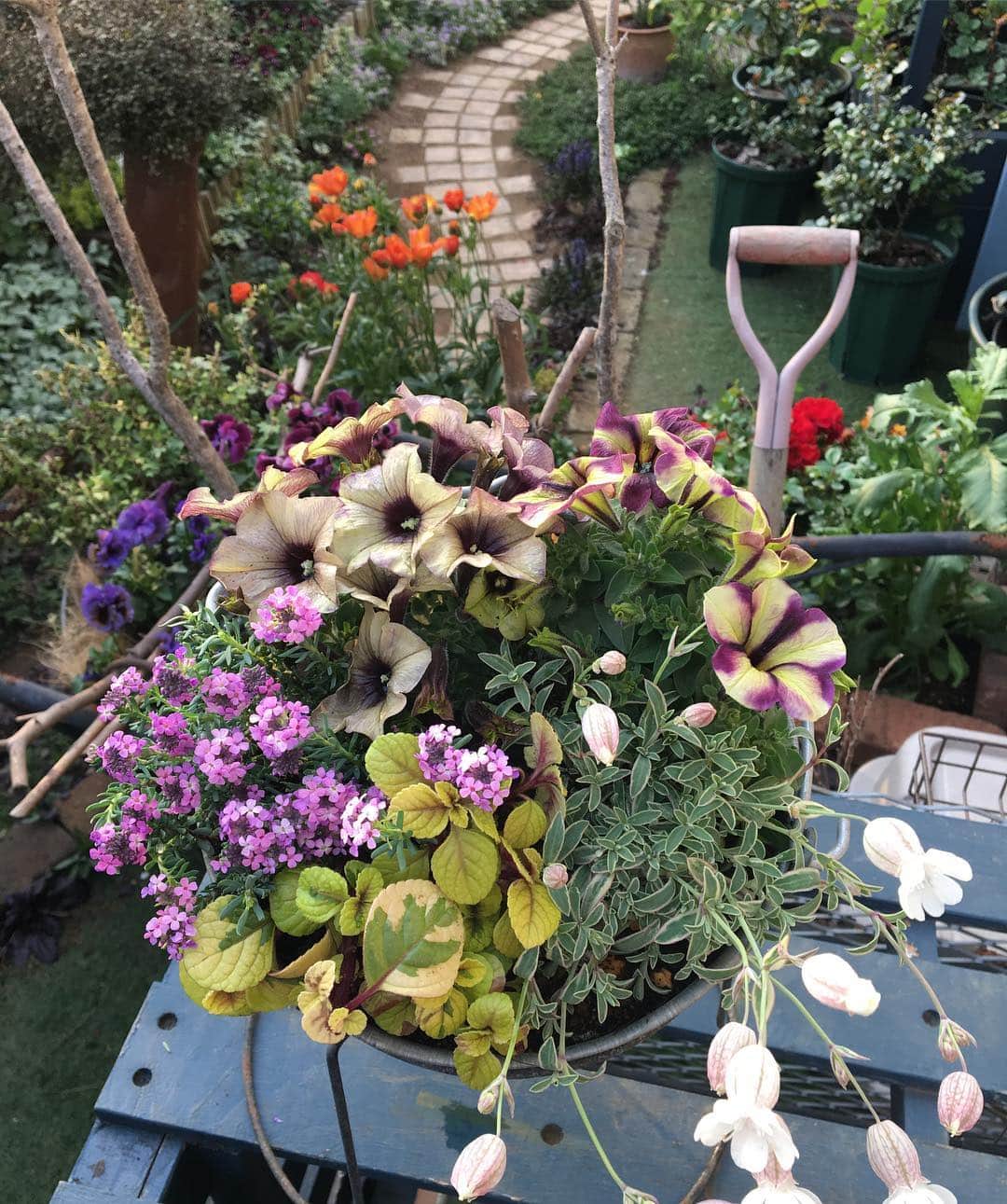 MILLE ECLAT.のグルメインスタ