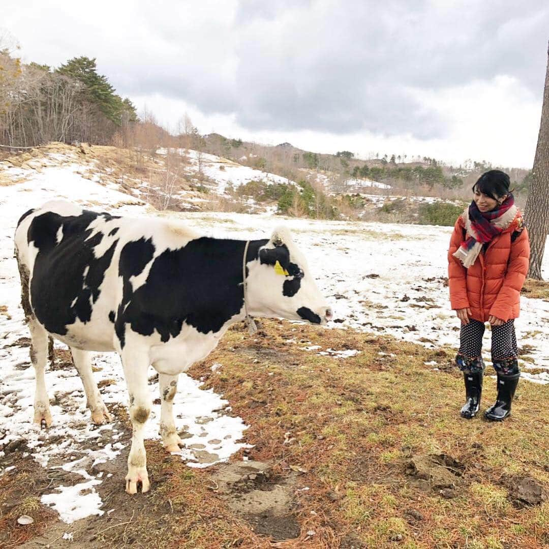 三倉佳奈さんのインスタグラム写真 - (三倉佳奈Instagram)「岩手県で出逢った皆さんは優しくて控えめで、かと思えばとても世話焼きで。 行く場所行く場所で「これ持って行き」と差し入れやお土産も沢山頂き帰りは大荷物で東京に帰りました。 人情味溢れた方ばかりで大好きな場所になりました。 迎えてくださった皆さん声を掛けてくださった皆さん、本当にありがとうございました。 寒いけど暖かい町で元気を貰いました。 旅っていいですね🍀 また岩手県の美味しい食べ物を食べに、違う季節も堪能しに行きたいな。  #神子田朝市 #熊谷牧場 #三陸鉄道 #鵜鳥神楽 #北山崎 #岩洞湖 #宮古市 #遠くへ行きたい #岩手旅行  #ご視聴ありがとうございました📺 #ワカサギ釣りリベンジしたい 笑 #女子ひとり旅」4月7日 20時08分 - kana_mikura0223