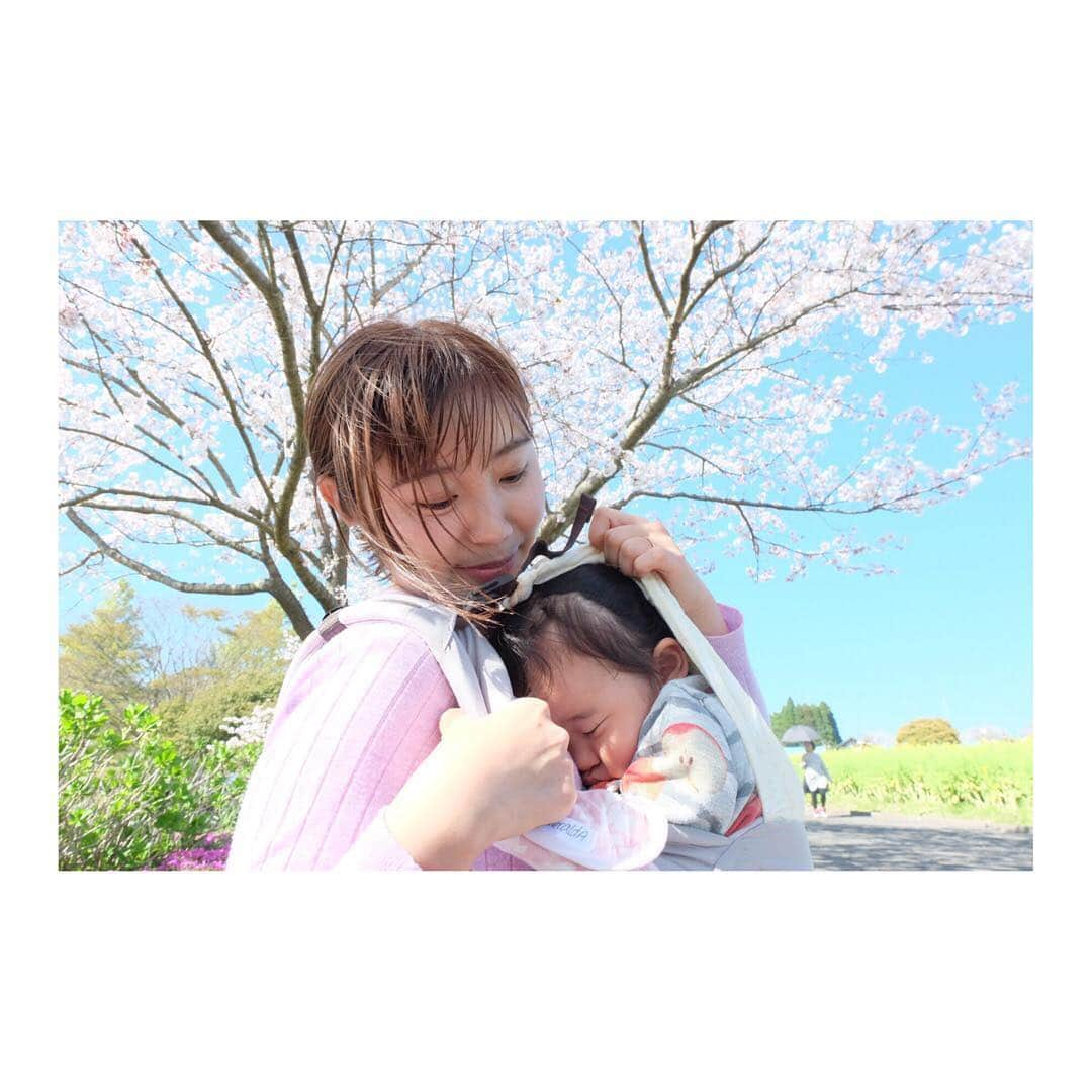 北﨑千香子さんのインスタグラム写真 - (北﨑千香子Instagram)「お花見日和でした🌸🌸🌸 先々週は菜の花の方がギーッシリだったけど、今日は今日でまた雰囲気変わった感じ👍 桜が満開になって🌸と🌼のコラボが素敵でした♡ ＊ 友達親子に写真撮ろーっと誘ってもらって鹿児島市都市農業センターへ👧👧👧👧 しかし、着いた途端寝た娘さんはグズグズまんで、基本けわしい顔👤笑 子供４人連れての撮影は戦争🔥 だったけど、思い出の写真がたくさん増えてよかった❤️ ＊ 実はこの写真を撮ってくれたお友達、子供との写真を撮るお仕事もしてます🦸‍♀️✨ 来週も桜の撮影会するみたいなのでよければぜひっ🌸 アカウント👇 @mamababy.ohiruneart ＊ #鹿児島市都市農業センター #お花見 #桜 #桜と菜の花 #鹿児島ママ #鹿児島子連れお出かけ #鹿児島 #最後のわたしの引き連れてる感 #菜の花畑の迷路はクリアした #もう道は頭に入ってる」4月7日 20時10分 - kitazaki_chikako