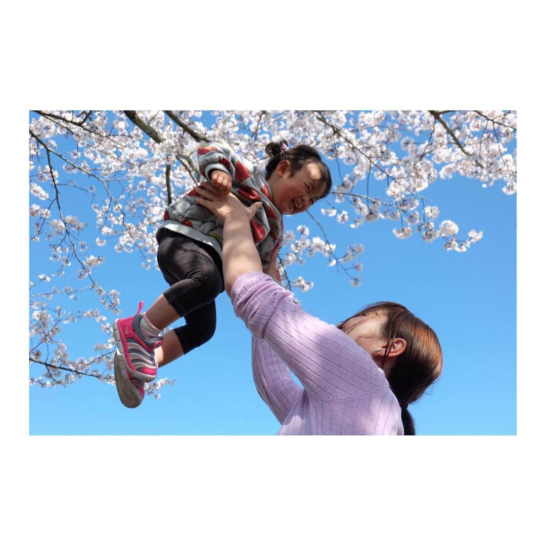 北﨑千香子さんのインスタグラム写真 - (北﨑千香子Instagram)「お花見日和でした🌸🌸🌸 先々週は菜の花の方がギーッシリだったけど、今日は今日でまた雰囲気変わった感じ👍 桜が満開になって🌸と🌼のコラボが素敵でした♡ ＊ 友達親子に写真撮ろーっと誘ってもらって鹿児島市都市農業センターへ👧👧👧👧 しかし、着いた途端寝た娘さんはグズグズまんで、基本けわしい顔👤笑 子供４人連れての撮影は戦争🔥 だったけど、思い出の写真がたくさん増えてよかった❤️ ＊ 実はこの写真を撮ってくれたお友達、子供との写真を撮るお仕事もしてます🦸‍♀️✨ 来週も桜の撮影会するみたいなのでよければぜひっ🌸 アカウント👇 @mamababy.ohiruneart ＊ #鹿児島市都市農業センター #お花見 #桜 #桜と菜の花 #鹿児島ママ #鹿児島子連れお出かけ #鹿児島 #最後のわたしの引き連れてる感 #菜の花畑の迷路はクリアした #もう道は頭に入ってる」4月7日 20時10分 - kitazaki_chikako