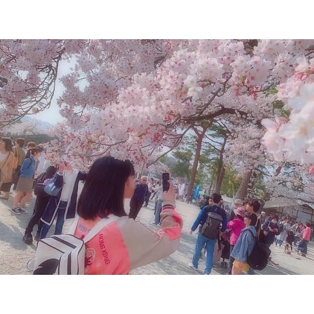 中川美優さんのインスタグラム写真 - (中川美優Instagram)「小田原までドライブした#私はペーパーなので盛り上げ隊」4月7日 20時11分 - nakagawamiyuu