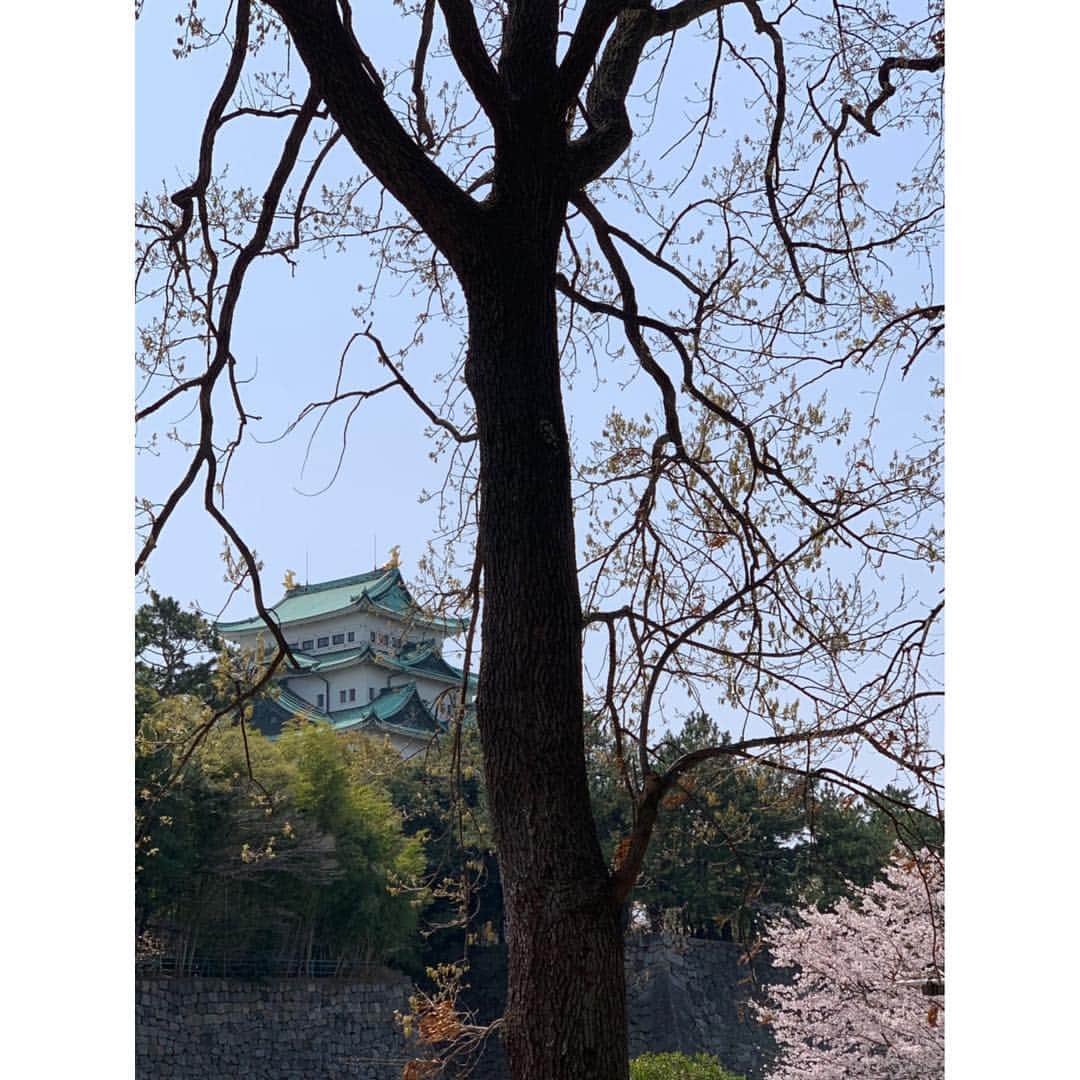 空木マイカさんのインスタグラム写真 - (空木マイカInstagram)「今日は名城公園でMusic Togetherピクニックでした😊音楽好きな妹の唯一の習いごと❤️いつもの教室も大好きだけど、野外で緑に囲まれる中でみんなで歌うのはまた格別✨楽しかったなぁ。いい週末だった☺️ #musictogetherhappybeat  #happybeat758」4月7日 20時27分 - maika_utsugi