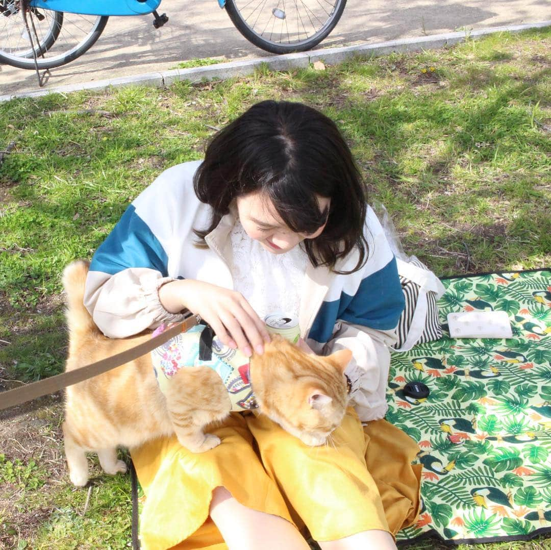 コテツさんのインスタグラム写真 - (コテツInstagram)「2019/4/7 お姉ちゃん大好きにゃ チューしたにゃよ(^з^)-☆ー . @fujifilm_photois  #photois  #50000人の写真展  #大阪 #キズナ #コテさんぽ」4月7日 20時21分 - kotetuchan