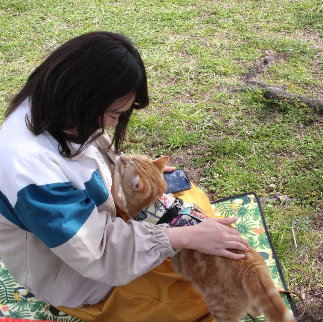 コテツさんのインスタグラム写真 - (コテツInstagram)「2019/4/7 お姉ちゃん大好きにゃ チューしたにゃよ(^з^)-☆ー . @fujifilm_photois  #photois  #50000人の写真展  #大阪 #キズナ #コテさんぽ」4月7日 20時21分 - kotetuchan