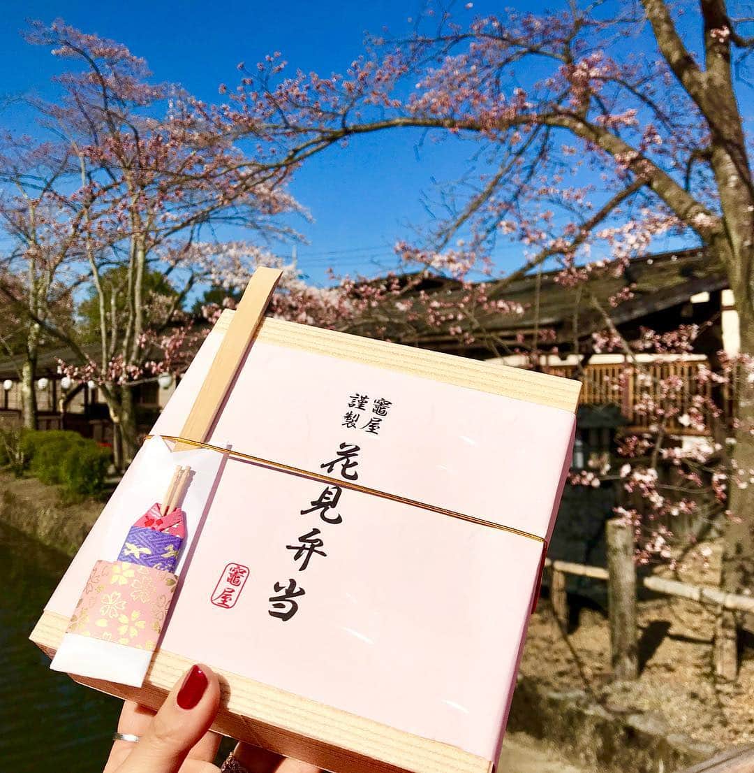 中道あすかさんのインスタグラム写真 - (中道あすかInstagram)「今週末は、家族でお着物を着て、 贅沢すぎる#お花見 をしました☺️🌸 . . #江戸ワンダーランド日光江戸村 で 風情溢れるお花見😌🌸 . . #目黒川 のお花見もいいけど、 たまには、ちょっと足をのばして こんな贅沢なお花見なんてどうでしょう⁉️☺️💓 . . .  実は、「最高のお花見がしたい‼️」って思い立って、 ２日前ぐらいからバタバタ計画しだした、 今回の旅行😂💦ｗｗ （こういう時の行動力だけは早い我が家🤣） . . . でもねっ‼️ . . 非日常感たっぷりの江戸の町に 咲き誇る、色とりどりの花々、 . 行き交う侍や娘たち、 . 賑やかな三味線の音色、 . そして料理研究家・冬木 れい先生監修の本格的な江戸料理....😍💓💓 . . . やっぱり、行ってよかったーーー‼️‼️😆 もうーーーー最高すぎました😍❤ . . . せっかくなので、 みんなで着物に着替えて、 私たちも江戸の住民になりきって お花見を楽しんだよ😆💓 . . 主人→かぶき者 私→お店娘 ほぺたろう→忍者 . . .  こんな贅沢な時間ってない‼️って思うぐらい、 ほんっと、最高のお花見になりました‼️❤️❤️❤️ . . . #日光江戸村 って、 #テーマパーク では珍しく、 お酒も飲めるんだよね❤️😍 . . . ほぺたろうも、 #忍者修行 とかも楽しんで、 まる1日、江戸を堪能しました💓☺️ . . . #ゴールデンウィーク 前から 比較的すいてて、 のんびり楽しめたから、 今の時期、めちゃくちゃ オススメっっ😆💕 . . . それに、#日光 は、 これからが#桜 の見頃‼️‼️ . .  またいつもとはひと味違う、 風情あふれるお花見を楽しみたい方には 超絶オススメだよー☺️🌸🌸‼️ . . .  この、 桜を愛でながら江戸料理を楽しむ「春の宴〜江戸の花見〜」は、 4月14日（日）まで開催してるそうです😊💓 @edowonderland_official . . . .  是非ぜひ行ってみて〜😍💓 . . . .  #江戸ワンダーランド日光江戸村 #春の宴 #日光江戸村#江戸時代#着物 #楽しい#cozre#子連れ#タビジョ#子連れ旅行#春休み #旅行#思い出#鬼怒川#鬼怒川温泉#鬼怒川旅行#栃木旅行 #温泉旅行#温泉#ママ#家族旅行#japan#日本」4月7日 20時22分 - asuroom