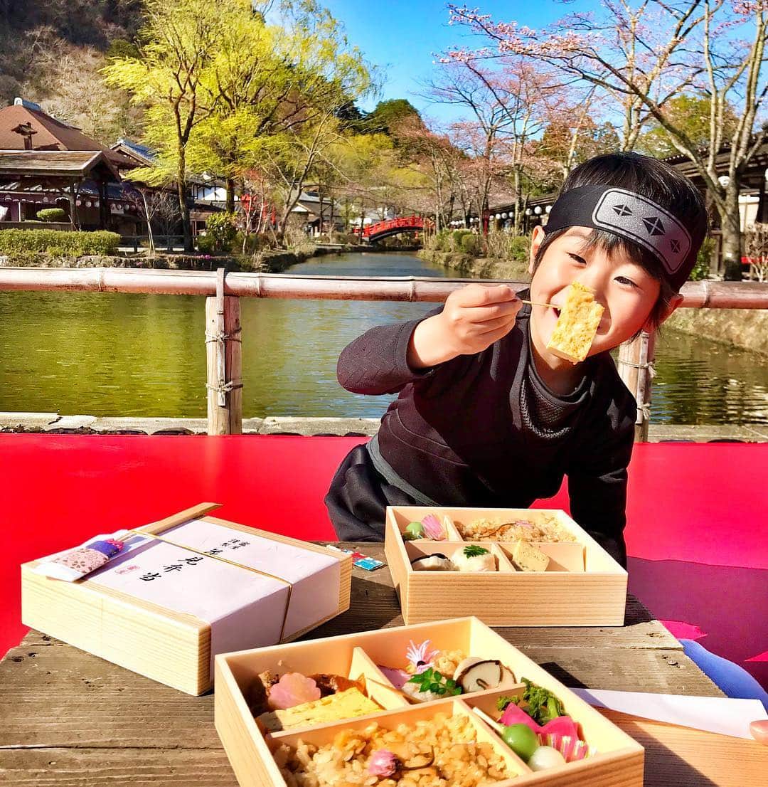 中道あすかさんのインスタグラム写真 - (中道あすかInstagram)「今週末は、家族でお着物を着て、 贅沢すぎる#お花見 をしました☺️🌸 . . #江戸ワンダーランド日光江戸村 で 風情溢れるお花見😌🌸 . . #目黒川 のお花見もいいけど、 たまには、ちょっと足をのばして こんな贅沢なお花見なんてどうでしょう⁉️☺️💓 . . .  実は、「最高のお花見がしたい‼️」って思い立って、 ２日前ぐらいからバタバタ計画しだした、 今回の旅行😂💦ｗｗ （こういう時の行動力だけは早い我が家🤣） . . . でもねっ‼️ . . 非日常感たっぷりの江戸の町に 咲き誇る、色とりどりの花々、 . 行き交う侍や娘たち、 . 賑やかな三味線の音色、 . そして料理研究家・冬木 れい先生監修の本格的な江戸料理....😍💓💓 . . . やっぱり、行ってよかったーーー‼️‼️😆 もうーーーー最高すぎました😍❤ . . . せっかくなので、 みんなで着物に着替えて、 私たちも江戸の住民になりきって お花見を楽しんだよ😆💓 . . 主人→かぶき者 私→お店娘 ほぺたろう→忍者 . . .  こんな贅沢な時間ってない‼️って思うぐらい、 ほんっと、最高のお花見になりました‼️❤️❤️❤️ . . . #日光江戸村 って、 #テーマパーク では珍しく、 お酒も飲めるんだよね❤️😍 . . . ほぺたろうも、 #忍者修行 とかも楽しんで、 まる1日、江戸を堪能しました💓☺️ . . . #ゴールデンウィーク 前から 比較的すいてて、 のんびり楽しめたから、 今の時期、めちゃくちゃ オススメっっ😆💕 . . . それに、#日光 は、 これからが#桜 の見頃‼️‼️ . .  またいつもとはひと味違う、 風情あふれるお花見を楽しみたい方には 超絶オススメだよー☺️🌸🌸‼️ . . .  この、 桜を愛でながら江戸料理を楽しむ「春の宴〜江戸の花見〜」は、 4月14日（日）まで開催してるそうです😊💓 @edowonderland_official . . . .  是非ぜひ行ってみて〜😍💓 . . . .  #江戸ワンダーランド日光江戸村 #春の宴 #日光江戸村#江戸時代#着物 #楽しい#cozre#子連れ#タビジョ#子連れ旅行#春休み #旅行#思い出#鬼怒川#鬼怒川温泉#鬼怒川旅行#栃木旅行 #温泉旅行#温泉#ママ#家族旅行#japan#日本」4月7日 20時22分 - asuroom