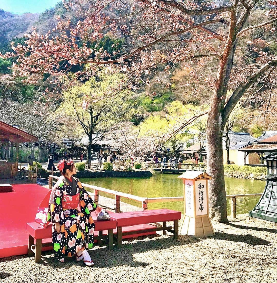 中道あすかさんのインスタグラム写真 - (中道あすかInstagram)「今週末は、家族でお着物を着て、 贅沢すぎる#お花見 をしました☺️🌸 . . #江戸ワンダーランド日光江戸村 で 風情溢れるお花見😌🌸 . . #目黒川 のお花見もいいけど、 たまには、ちょっと足をのばして こんな贅沢なお花見なんてどうでしょう⁉️☺️💓 . . .  実は、「最高のお花見がしたい‼️」って思い立って、 ２日前ぐらいからバタバタ計画しだした、 今回の旅行😂💦ｗｗ （こういう時の行動力だけは早い我が家🤣） . . . でもねっ‼️ . . 非日常感たっぷりの江戸の町に 咲き誇る、色とりどりの花々、 . 行き交う侍や娘たち、 . 賑やかな三味線の音色、 . そして料理研究家・冬木 れい先生監修の本格的な江戸料理....😍💓💓 . . . やっぱり、行ってよかったーーー‼️‼️😆 もうーーーー最高すぎました😍❤ . . . せっかくなので、 みんなで着物に着替えて、 私たちも江戸の住民になりきって お花見を楽しんだよ😆💓 . . 主人→かぶき者 私→お店娘 ほぺたろう→忍者 . . .  こんな贅沢な時間ってない‼️って思うぐらい、 ほんっと、最高のお花見になりました‼️❤️❤️❤️ . . . #日光江戸村 って、 #テーマパーク では珍しく、 お酒も飲めるんだよね❤️😍 . . . ほぺたろうも、 #忍者修行 とかも楽しんで、 まる1日、江戸を堪能しました💓☺️ . . . #ゴールデンウィーク 前から 比較的すいてて、 のんびり楽しめたから、 今の時期、めちゃくちゃ オススメっっ😆💕 . . . それに、#日光 は、 これからが#桜 の見頃‼️‼️ . .  またいつもとはひと味違う、 風情あふれるお花見を楽しみたい方には 超絶オススメだよー☺️🌸🌸‼️ . . .  この、 桜を愛でながら江戸料理を楽しむ「春の宴〜江戸の花見〜」は、 4月14日（日）まで開催してるそうです😊💓 @edowonderland_official . . . .  是非ぜひ行ってみて〜😍💓 . . . .  #江戸ワンダーランド日光江戸村 #春の宴 #日光江戸村#江戸時代#着物 #楽しい#cozre#子連れ#タビジョ#子連れ旅行#春休み #旅行#思い出#鬼怒川#鬼怒川温泉#鬼怒川旅行#栃木旅行 #温泉旅行#温泉#ママ#家族旅行#japan#日本」4月7日 20時22分 - asuroom