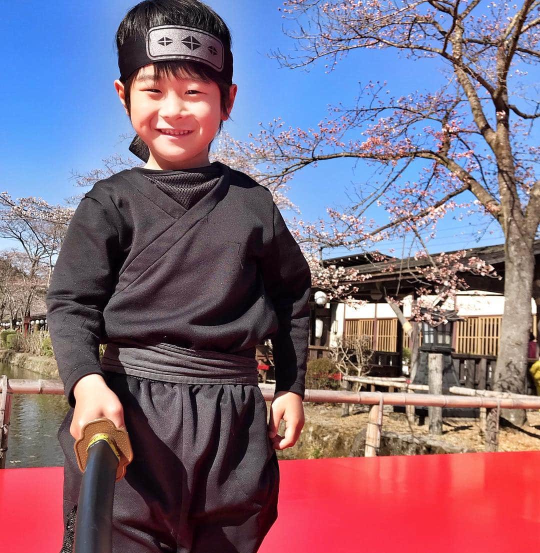 中道あすかさんのインスタグラム写真 - (中道あすかInstagram)「今週末は、家族でお着物を着て、 贅沢すぎる#お花見 をしました☺️🌸 . . #江戸ワンダーランド日光江戸村 で 風情溢れるお花見😌🌸 . . #目黒川 のお花見もいいけど、 たまには、ちょっと足をのばして こんな贅沢なお花見なんてどうでしょう⁉️☺️💓 . . .  実は、「最高のお花見がしたい‼️」って思い立って、 ２日前ぐらいからバタバタ計画しだした、 今回の旅行😂💦ｗｗ （こういう時の行動力だけは早い我が家🤣） . . . でもねっ‼️ . . 非日常感たっぷりの江戸の町に 咲き誇る、色とりどりの花々、 . 行き交う侍や娘たち、 . 賑やかな三味線の音色、 . そして料理研究家・冬木 れい先生監修の本格的な江戸料理....😍💓💓 . . . やっぱり、行ってよかったーーー‼️‼️😆 もうーーーー最高すぎました😍❤ . . . せっかくなので、 みんなで着物に着替えて、 私たちも江戸の住民になりきって お花見を楽しんだよ😆💓 . . 主人→かぶき者 私→お店娘 ほぺたろう→忍者 . . .  こんな贅沢な時間ってない‼️って思うぐらい、 ほんっと、最高のお花見になりました‼️❤️❤️❤️ . . . #日光江戸村 って、 #テーマパーク では珍しく、 お酒も飲めるんだよね❤️😍 . . . ほぺたろうも、 #忍者修行 とかも楽しんで、 まる1日、江戸を堪能しました💓☺️ . . . #ゴールデンウィーク 前から 比較的すいてて、 のんびり楽しめたから、 今の時期、めちゃくちゃ オススメっっ😆💕 . . . それに、#日光 は、 これからが#桜 の見頃‼️‼️ . .  またいつもとはひと味違う、 風情あふれるお花見を楽しみたい方には 超絶オススメだよー☺️🌸🌸‼️ . . .  この、 桜を愛でながら江戸料理を楽しむ「春の宴〜江戸の花見〜」は、 4月14日（日）まで開催してるそうです😊💓 @edowonderland_official . . . .  是非ぜひ行ってみて〜😍💓 . . . .  #江戸ワンダーランド日光江戸村 #春の宴 #日光江戸村#江戸時代#着物 #楽しい#cozre#子連れ#タビジョ#子連れ旅行#春休み #旅行#思い出#鬼怒川#鬼怒川温泉#鬼怒川旅行#栃木旅行 #温泉旅行#温泉#ママ#家族旅行#japan#日本」4月7日 20時22分 - asuroom