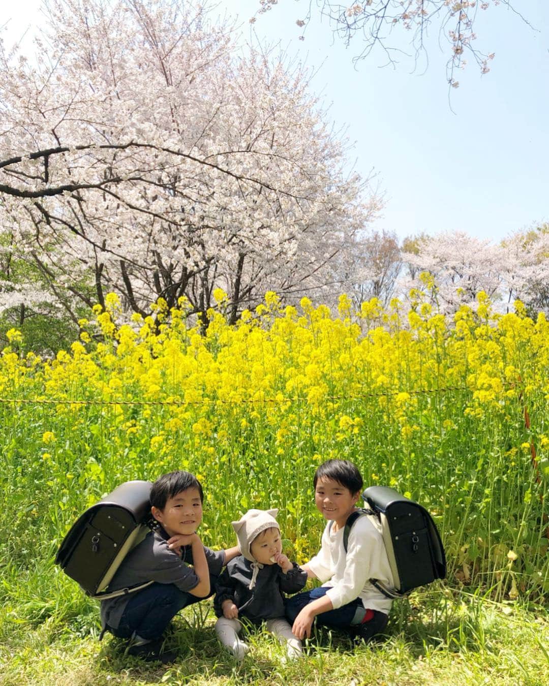 ᴋᴀɴᴀᴋöさんのインスタグラム写真 - (ᴋᴀɴᴀᴋöInstagram)「3兄弟バージョン🌸🌼🌸🌼 * 楽しかった春休みも 今日で終わり。 明日は、いよいよ入学式です🏫✨ * #ランドセル#新一年生#桜#菜の花#桜と菜の花#sakura」4月7日 20時24分 - kanakokko_34_