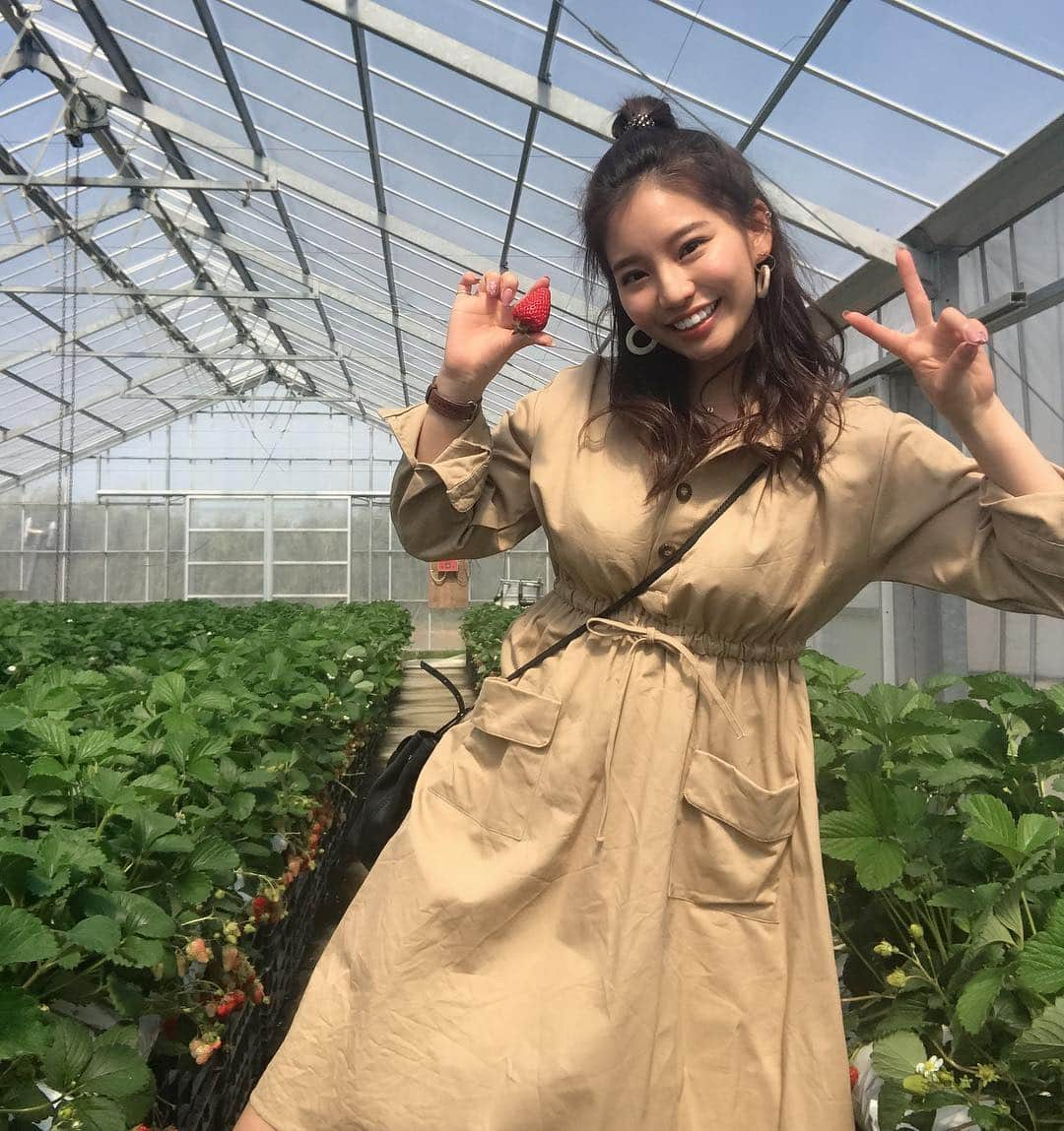 久松かおりさんのインスタグラム写真 - (久松かおりInstagram)「. 人生初のバスツアーに千葉へ🍓😊🎶 浜焼き食べ放題からソーセージ作りに いちご狩り！お腹いっぱいだったのに いちごいっぱい食べた✊✊✊ . こーゆうとき元取らな！って思ってしまう気持ちわかってくれる方います？笑笑 . バスツアーのお姉さんお茶目でかわいかったなぁ😚💓 他にもバスツアー行ってみたい💭👏 . . #いちご狩り #春 #いちご #浜焼き #食べ放題 #followｍe」4月7日 20時24分 - hisamatsu_kaori