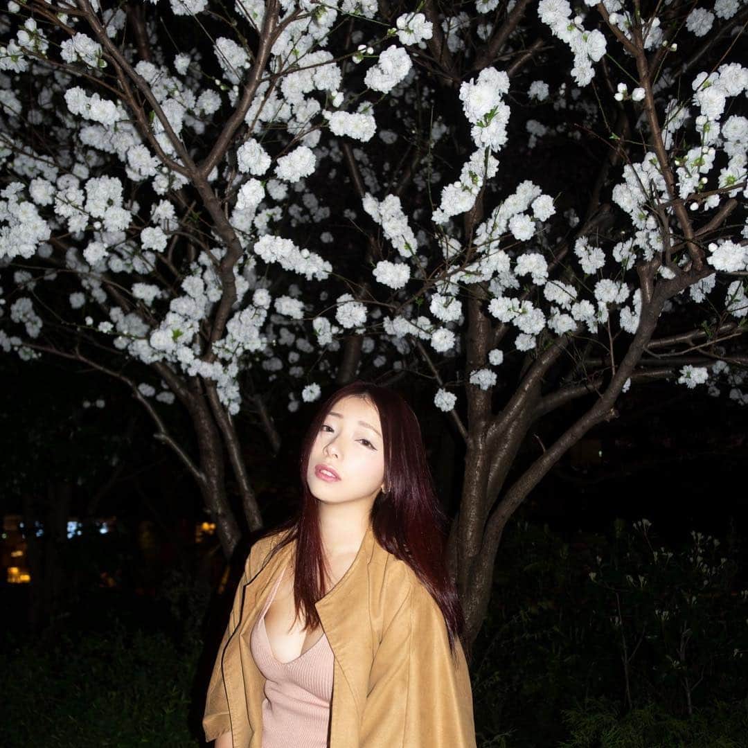 ツナマヨさんのインスタグラム写真 - (ツナマヨInstagram)「近所のお気に入りのお花と一緒に  @chaos_low」4月7日 11時36分 - tunamayo0113