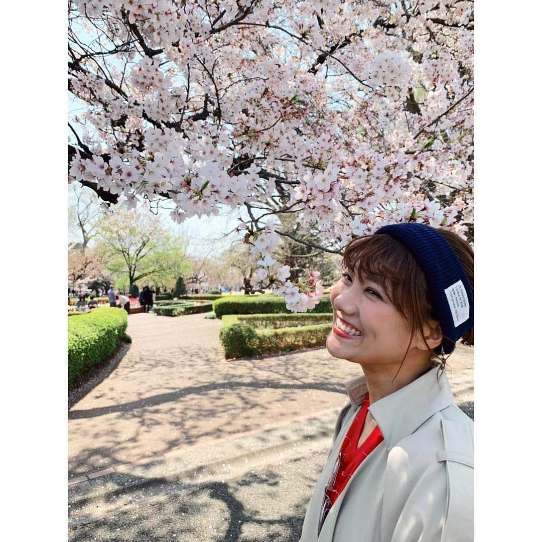 宮澤佐江さんのインスタグラム写真 - (宮澤佐江Instagram)「また、来年ね🌸😊 ． #桜 #平成最後の桜」4月7日 11時48分 - sae_3830