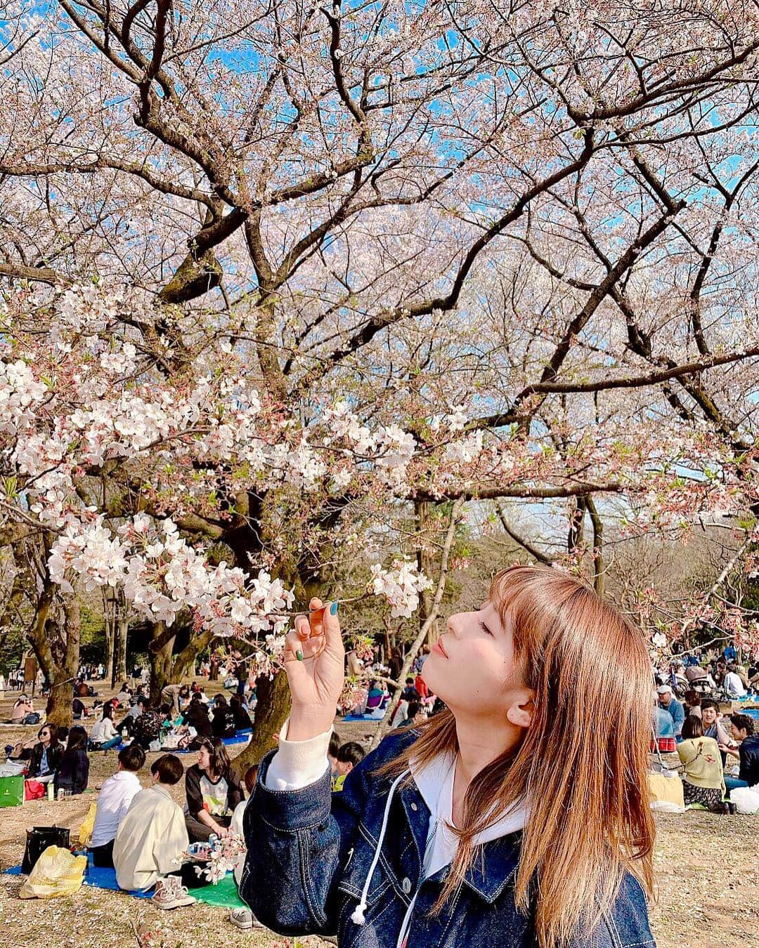 林弓束さんのインスタグラム写真 - (林弓束Instagram)「sakura🌸 もう少し咲いててほしいなーと 毎年おもう。 #桜 #お花見 #sakura #cherryblossom」4月7日 11時56分 - hayashiyuzuka