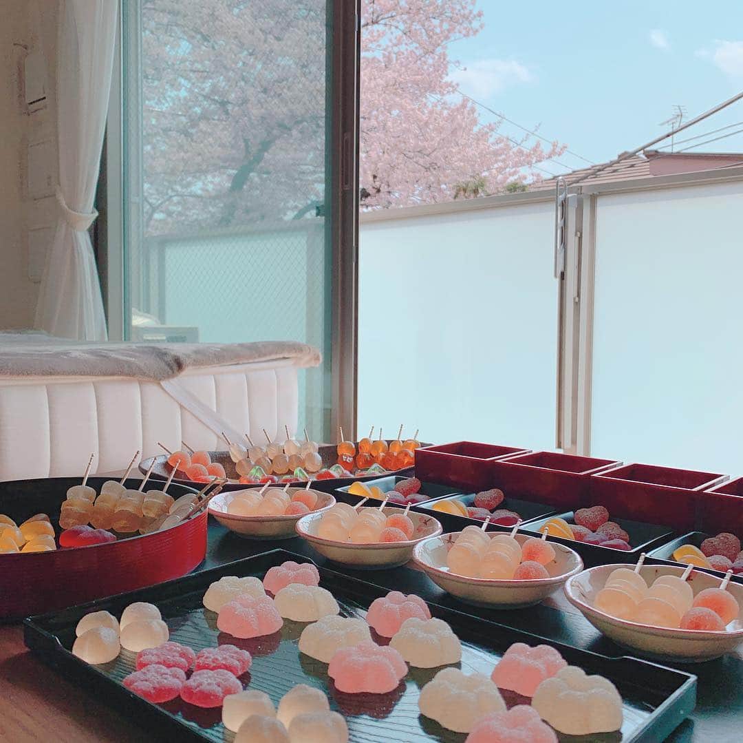 日本グミ協会さんのインスタグラム写真 - (日本グミ協会Instagram)「本日は年に一度の『おグ見』を開催日です🌸🌸🌸 ベランダから見える桜を見ながらグミを見る。そんなイベントです。  いつか盛大にやりたいなぁ。  #日本グミ協会 #グミ #グミパ﻿﻿ #93 #gumi #gummy #gummycandy﻿﻿ #グミニケーション﻿﻿ #レッツグミニケーション﻿﻿ ﻿﻿#桜 #お花見 #さくら #🌸 #花見 #春 #平成最後」4月7日 12時04分 - gummy_japan