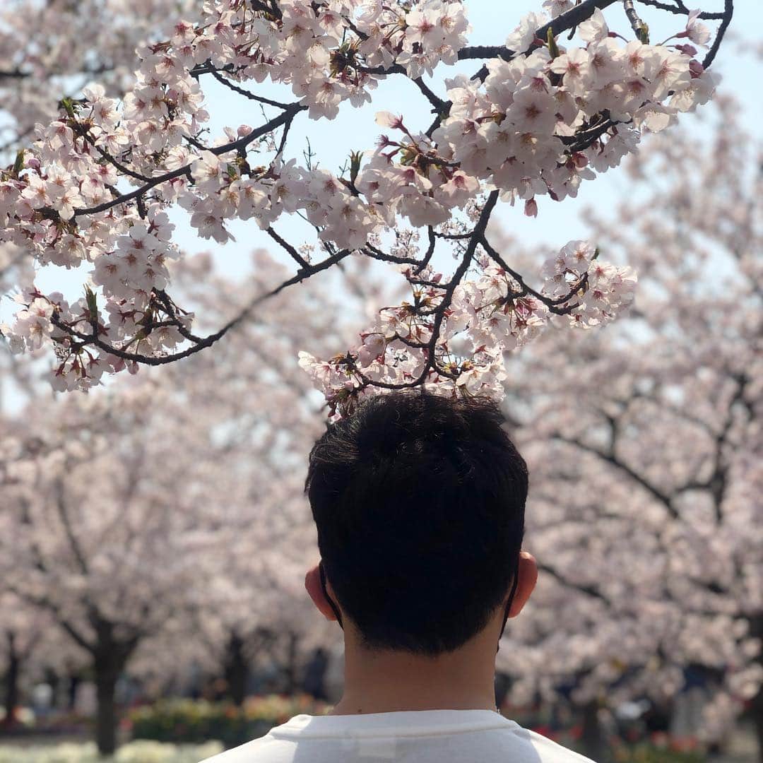 高橋愛さんのインスタグラム写真 - (高橋愛Instagram)「🌸」4月7日 12時17分 - i_am_takahashi