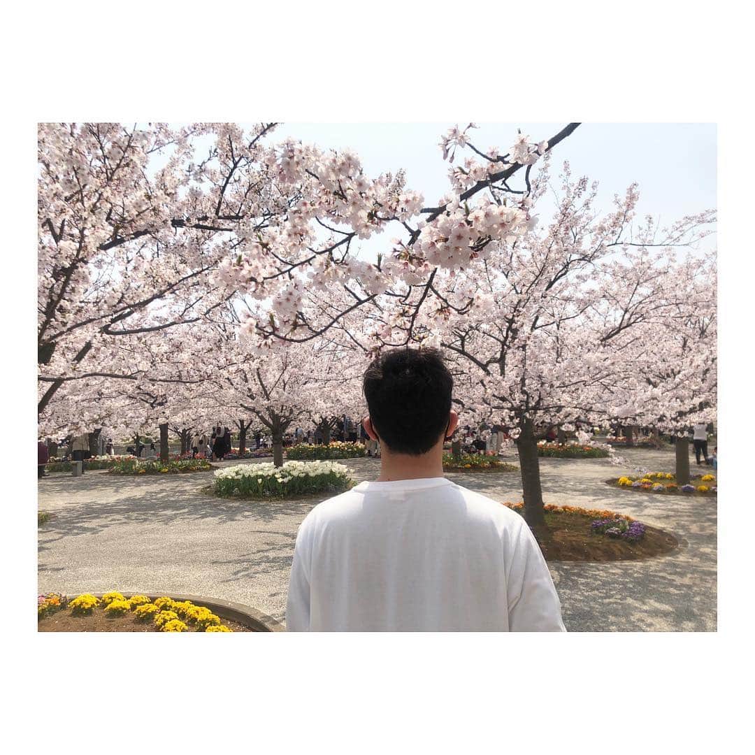 高橋愛さんのインスタグラム写真 - (高橋愛Instagram)「🌸」4月7日 12時17分 - i_am_takahashi