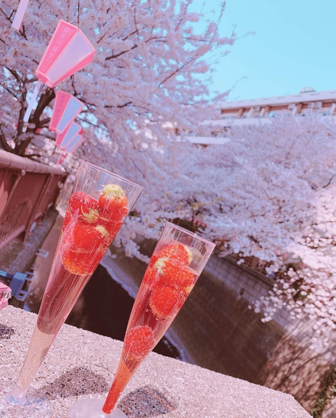 桜咲姫奈さんのインスタグラム写真 - (桜咲姫奈Instagram)「#目黒川  #目黒川の桜  #桜  #お花見 #🍓 これが飲みたかったの(⸝⸝⸝•́ω•̀⸝⸝⸝)🍓✩°｡⋆♡*°お酒じゃなくてノンアルにしたけど……♥️♥️」4月7日 12時27分 - himena_ousaki