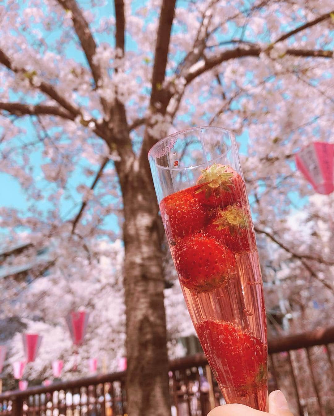 桜咲姫奈さんのインスタグラム写真 - (桜咲姫奈Instagram)「#目黒川  #目黒川の桜  #桜  #お花見 #🍓 これが飲みたかったの(⸝⸝⸝•́ω•̀⸝⸝⸝)🍓✩°｡⋆♡*°お酒じゃなくてノンアルにしたけど……♥️♥️」4月7日 12時27分 - himena_ousaki