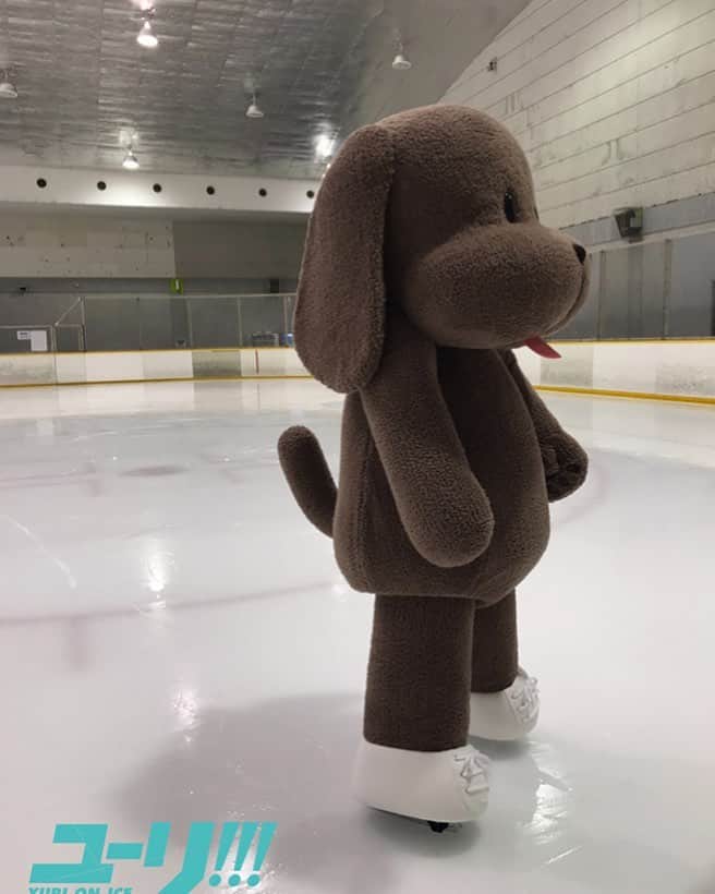 ユーリ!!! on ICEのインスタグラム：「【🔥ユーリ!!! on ICE  #国別対抗戦2019 全力応援🔥】 #マッカチン練習中⛸ #yurionice #マッカチンオンアイス  コーチと打ち合わせ中…❓ 堂々とした佇まいのマッカチン🐶」