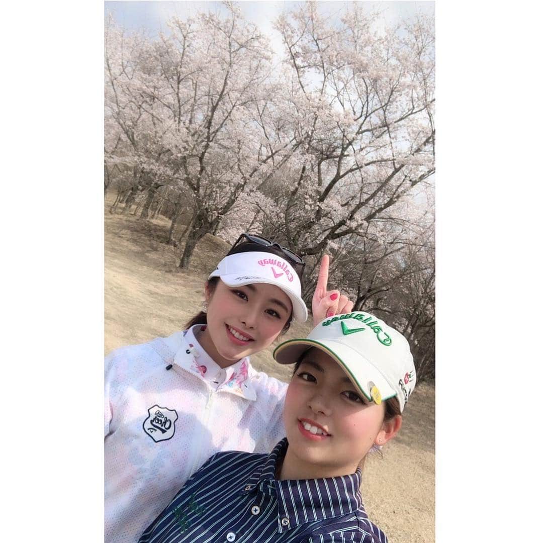 野田すみれのグルメインスタ