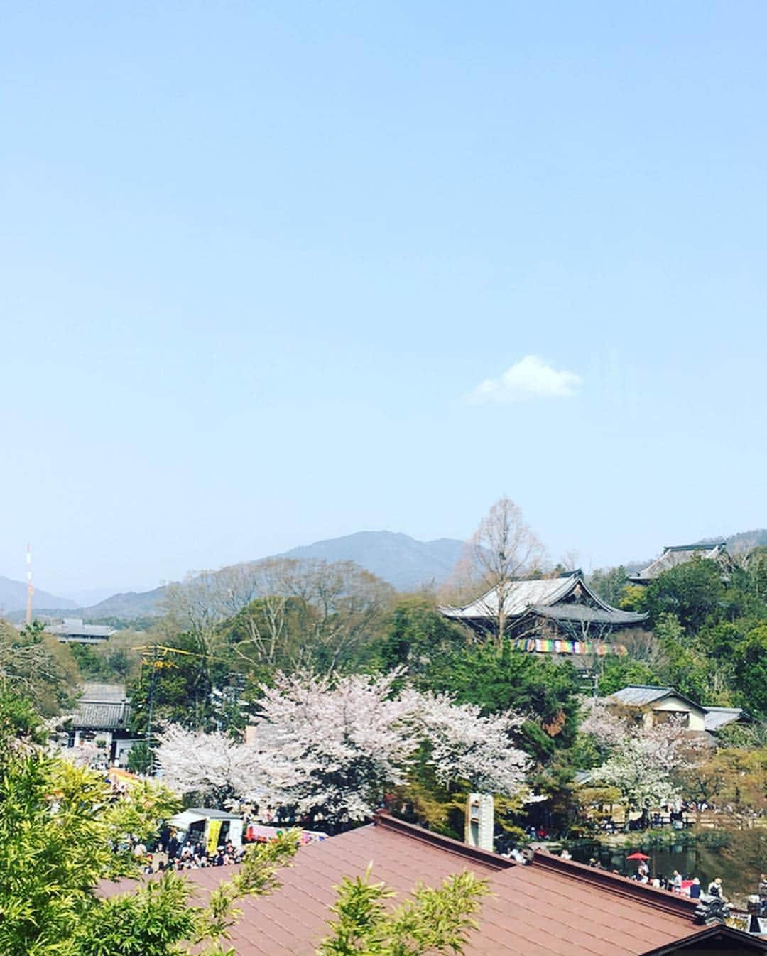 西川忠志さんのインスタグラム写真 - (西川忠志Instagram)「苺のフィアンティーヌ。  昨日は円山公園そばの『長楽館』へ 母・ヘレンの実家のお墓まいりをしてから 甘いものをいただきに参りました。  明治期に建てられた長楽館。 外観もさることながら内観も 時代を感じさせる素晴らしい雰囲気。  こちらでのティータイムは最高でした！ 『苺のフィアンティーヌ』という名の スイーツをいただきました。 お皿の苺ソースも生の苺をソースにしたもの！ それに演出もオシャレ！  長楽館からの円山公園もいい眺め！ そして向こうには知恩院さんが見えていますね！ 夜は知恩院さんの桜のライトアップを見ました！ 昨日は一日中京都を満喫できました！  #京都 #春休み #春 #長楽館 #スイーツ #京都スイーツ #苺  #ティータイム #円山公園 #お墓参り #苺のフィアンティーヌ #インスタ映え #知恩院 #夜桜 #夜桜見物 #ライトアップ #西川忠志 #吉本新喜劇 #よしもと新喜劇 #明治期 #」4月7日 13時01分 - nishikawa_tada
