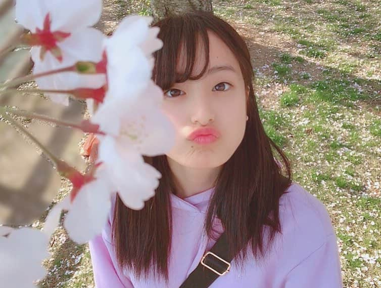 川原美咲さんのインスタグラム写真 - (川原美咲Instagram)「お友達と、桜見に行ってきました🌸🌸💕 めちゃめちゃきれい😍  すべてスマホでございます、」4月7日 13時04分 - misaki_888_sagasaikou