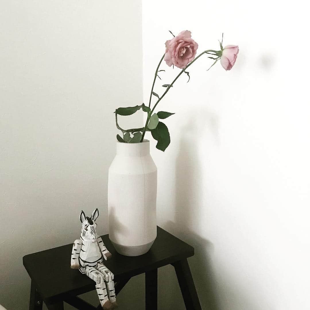 知念美加子さんのインスタグラム写真 - (知念美加子Instagram)「リビングに🌹 ・ ・ ソファに座ってると視界に入ってきて癒される❤️ ・ ・ ・ ・ #flower #rose #🌹 #pink #インテリア #花のある暮らし #ちねんるーむ #ちねん花」4月7日 13時17分 - chinenmikako