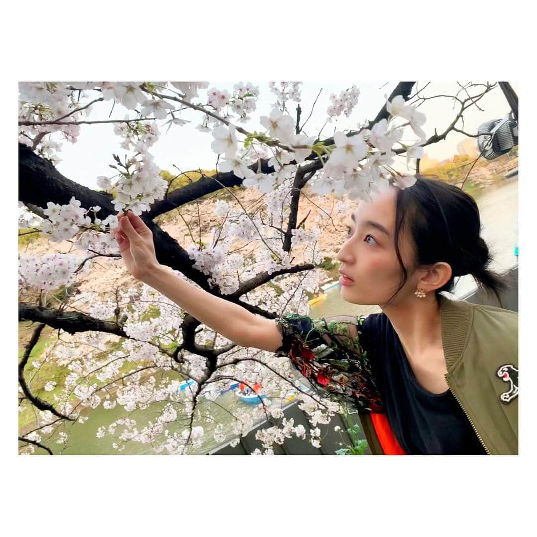 辻祐香さんのインスタグラム写真 - (辻祐香Instagram)「桜映え(・ω・)ノ  #もいでないよ #愛でてるよ #髪の毛ピョン吉 #春 #桜 #夜桜 #満開 #ピンク #花 #綺麗 #千鳥ヶ淵 #千鳥ヶ淵緑道 #ポートレート  #spring #cherryblossom #fullbloom #blossom #night #pink #flower #cute #beautiful #view #portrait #japan #chidorigafuchi」4月7日 13時24分 - kanon_tsuji0819