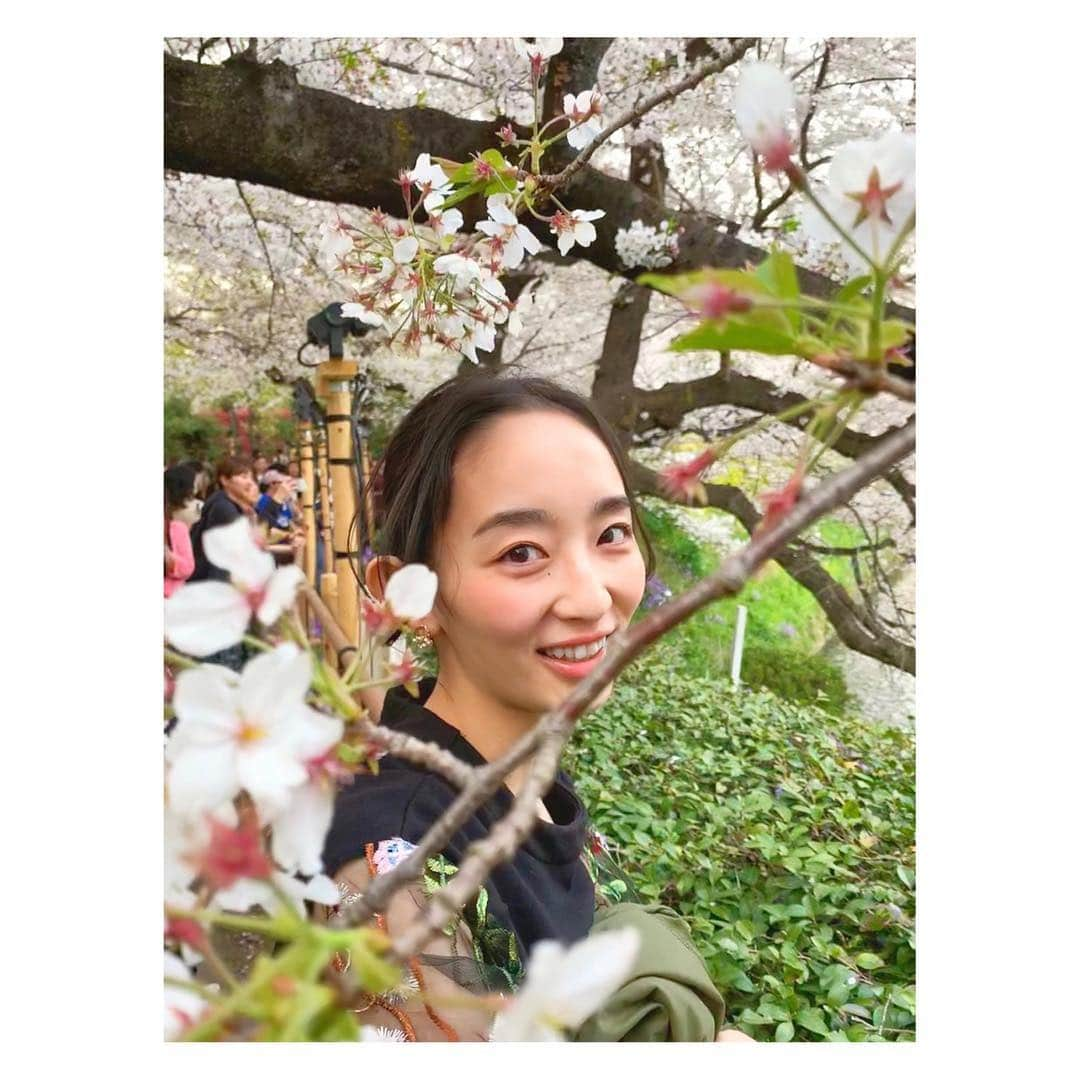 辻祐香さんのインスタグラム写真 - (辻祐香Instagram)「桜映え(・ω・)ノ  #もいでないよ #愛でてるよ #髪の毛ピョン吉 #春 #桜 #夜桜 #満開 #ピンク #花 #綺麗 #千鳥ヶ淵 #千鳥ヶ淵緑道 #ポートレート  #spring #cherryblossom #fullbloom #blossom #night #pink #flower #cute #beautiful #view #portrait #japan #chidorigafuchi」4月7日 13時24分 - kanon_tsuji0819