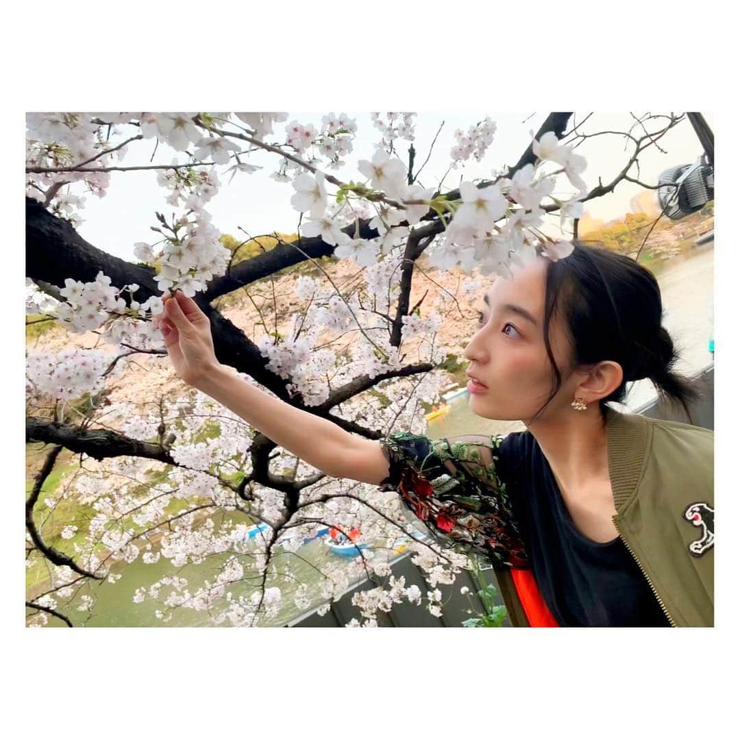 辻祐香のインスタグラム：「桜映え(・ω・)ノ  #もいでないよ #愛でてるよ #髪の毛ピョン吉 #春 #桜 #夜桜 #満開 #ピンク #花 #綺麗 #千鳥ヶ淵 #千鳥ヶ淵緑道 #ポートレート  #spring #cherryblossom #fullbloom #blossom #night #pink #flower #cute #beautiful #view #portrait #japan #chidorigafuchi」