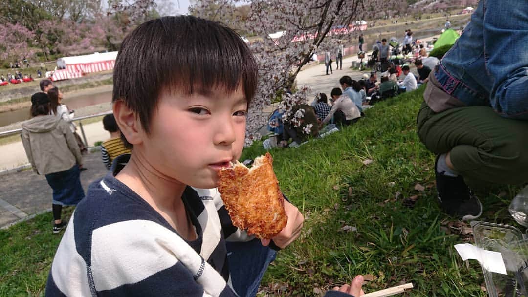 竹内弘一さんのインスタグラム写真 - (竹内弘一Instagram)「仕事前に家族でお花見。鴨川の桜が一番好きです。来年からお客さん呼ぼうかなあ(笑)公共の場所やけど(^^;#お花見 #鴨川 #京都」4月7日 13時42分 - takeuchi_koichi