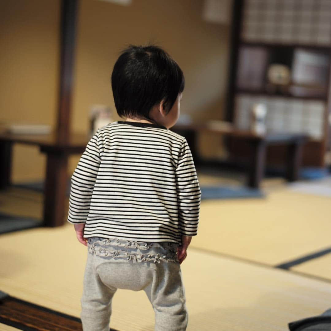 木本泉さんのインスタグラム写真 - (木本泉Instagram)「-﻿ 何でも興味津々さん👶﻿ ﻿ お隣さんにもご挨拶 笑﻿ 可愛いと言ってもらえると、愛想振りまく笑🤣﻿ ﻿ 中村軒で、妹と休憩🍡﻿ ﻿ #中村軒#京都」4月7日 13時43分 - izumikimoto