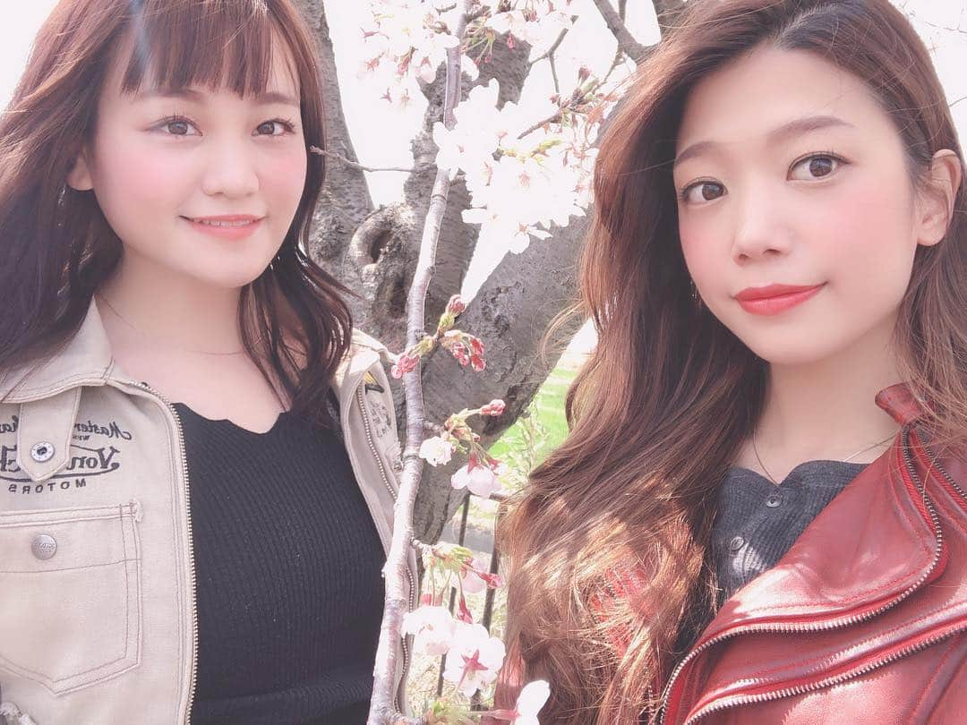 中嶋真緒さんのインスタグラム写真 - (中嶋真緒Instagram)「4月6日桜ツーリング🌸  名古屋組と岐阜組 木曽川沿いで10時集合✨ ↓ 鍋田川堤桜並木🌸 ↓ 四日市名物とんてきを食べに "来来憲"🐷 ↓ グリーンホテルにて温泉♨️ ↓ 鈴鹿スカイライン ↓ 終わったと思ったら道間違えて え？トライアル？モトクロス？ みたいな山の中入ってしまい 道なき道に突入😂 おかげで左腕ぱんぱん😅 アメリカン乗ってた 2人本当に可哀想😂😂ww ↓ 道の駅で解散 ↓ 名古屋に7時過ぎに到着🥰  楽しかった🥰✨✨」4月7日 13時55分 - mao.nkjm