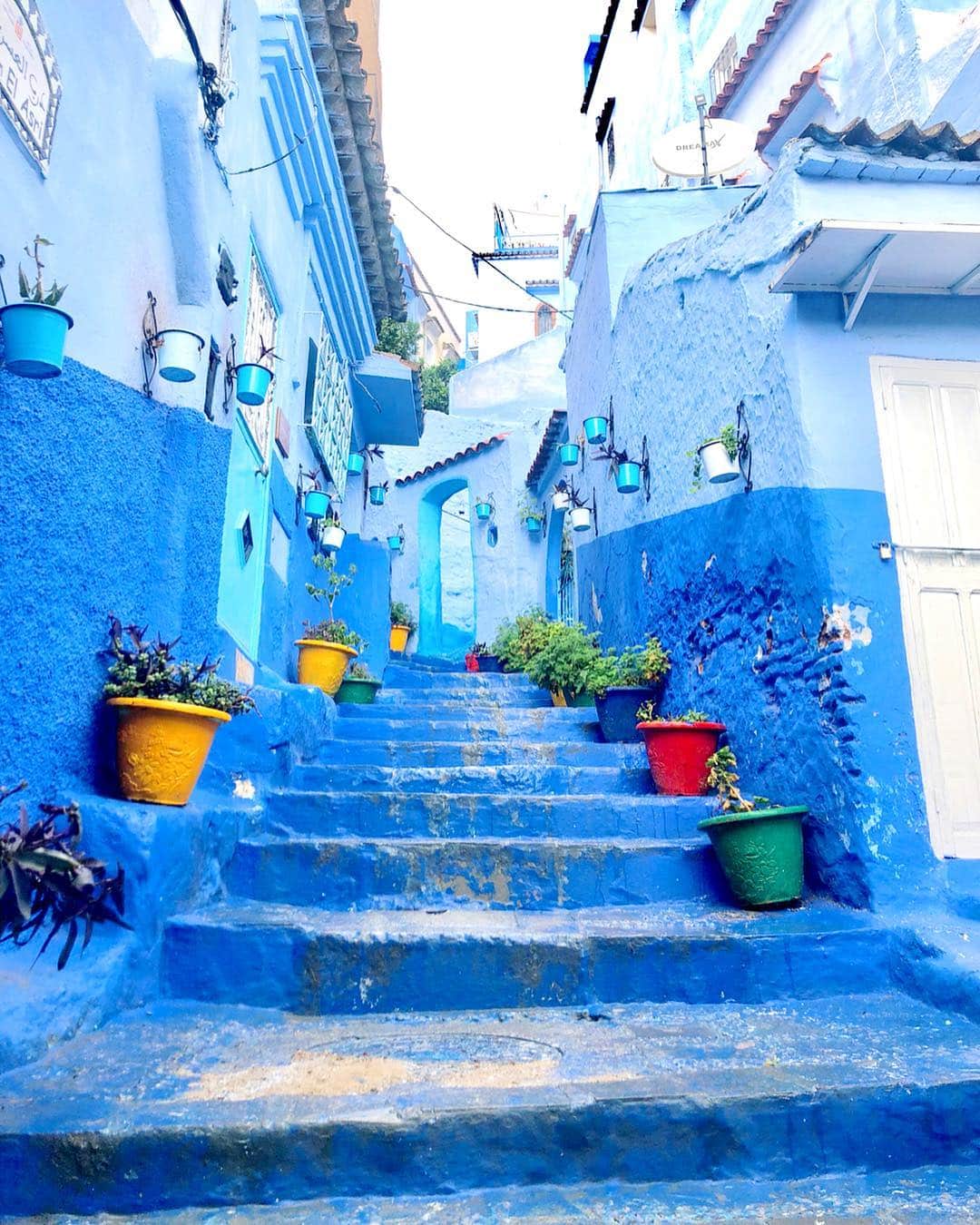 戸崎奈津さんのインスタグラム写真 - (戸崎奈津Instagram)「Chefchaouene,Blue city of Morocco 💙 モロッコの青い街・ シャウエンの有名な階段✨🇲🇦 ここにたどり着くまで、 飛行機と車(5時間)で30時間弱✈︎ 移動はなかなか過酷だけど🙄 この美しい街並みは頑張って行く価値あり！！💙🦋 . 半年前の旅だけど撮りすぎた写真を 記憶が薄れないうちに整理します🤣  #モロッコ #シャウエン #シェフシャウエン #青い街 #モロッコ旅行 #海外旅行 #女子旅 #アフリカ大陸 #旅好き #写真 #エミレーツ航空 #Morocco #chefchaouen #chaouen #Bluecity #ilovemorocco #travel #travelgram  #moroccotravel #🇲🇦 #exotic #beautiful #blue #worldtrip #Natsu_trip🌸 #旅フォト」4月7日 14時11分 - naa_tsu0827